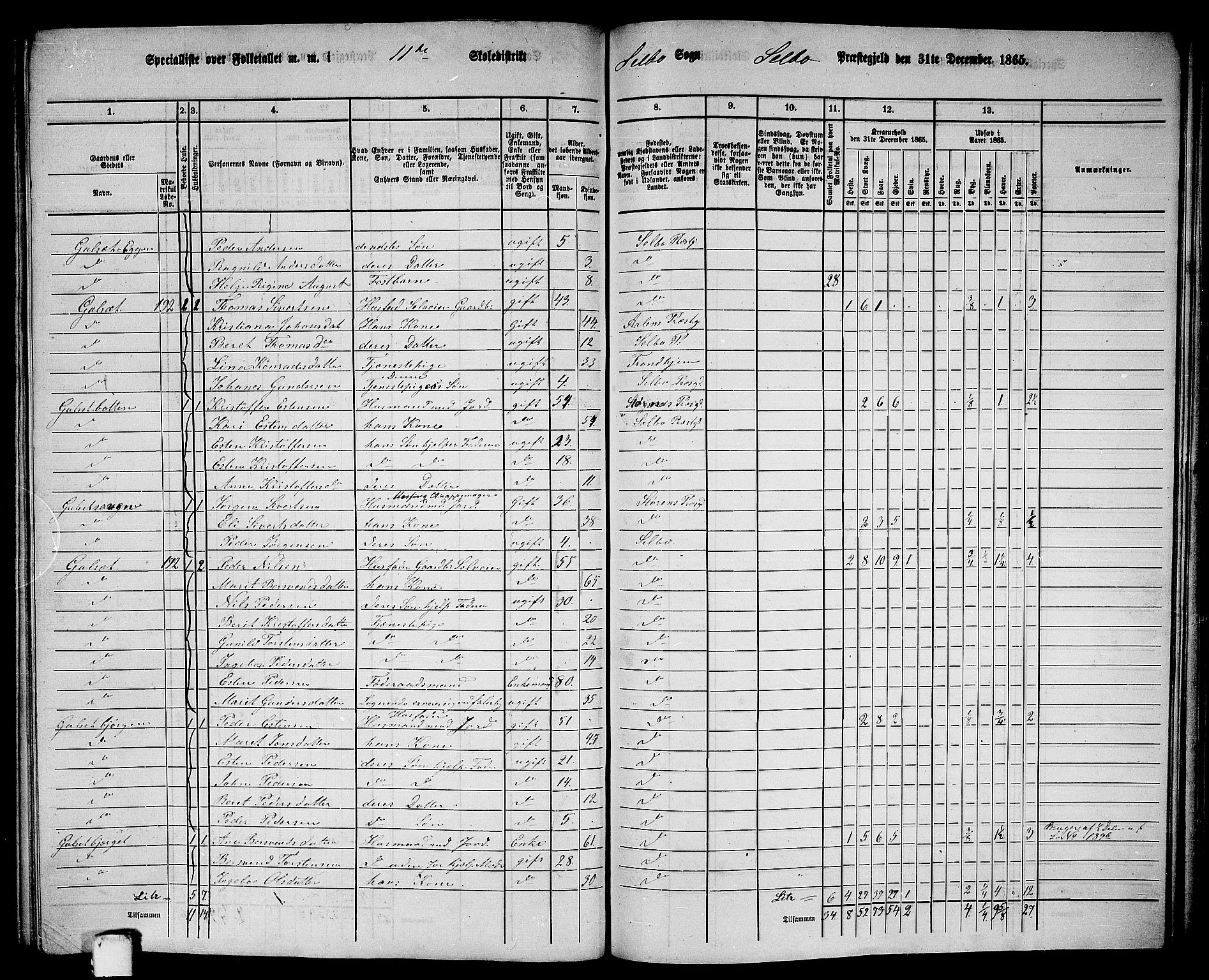 RA, 1865 census for Selbu, 1865, p. 203