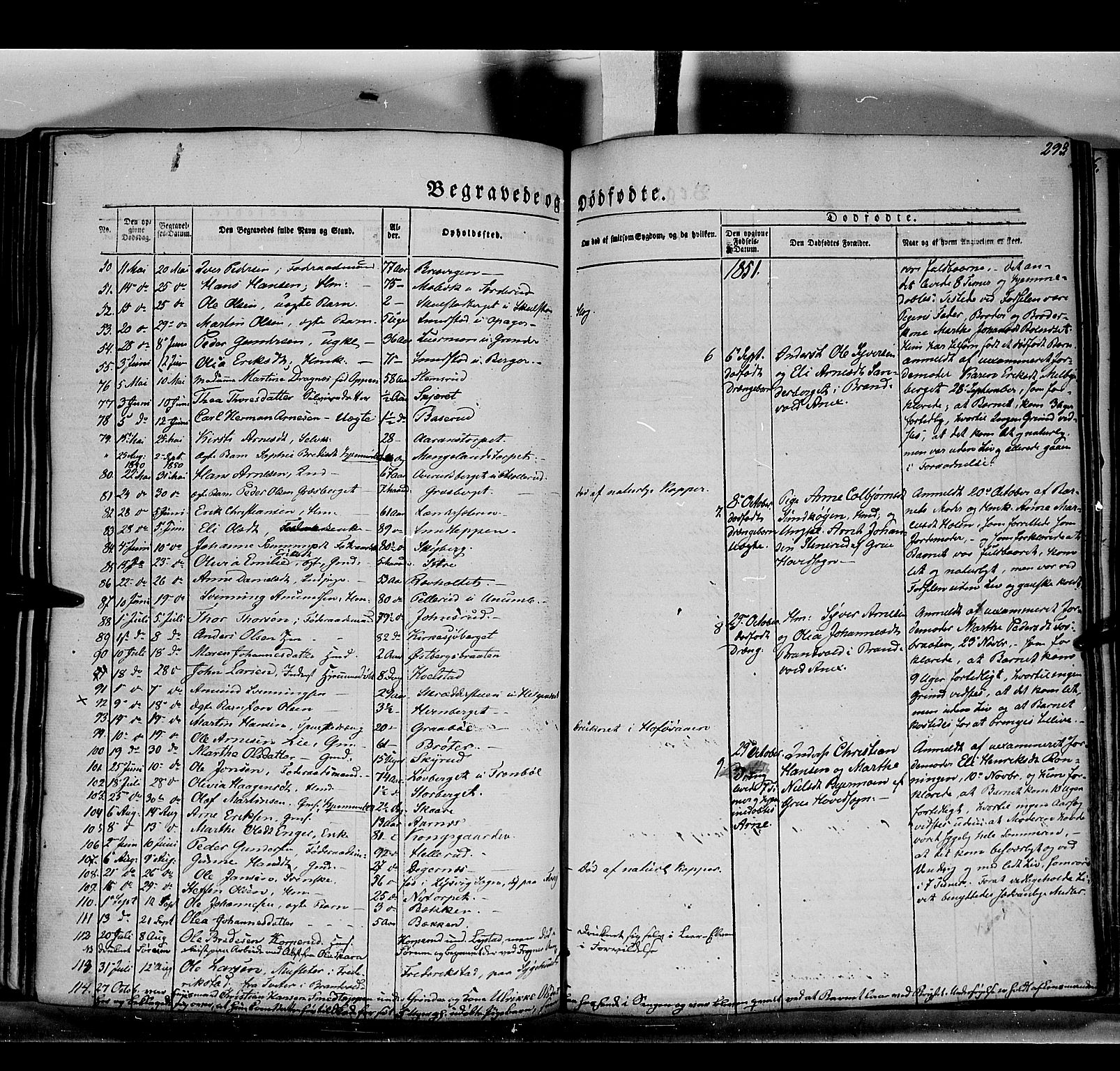 Grue prestekontor, AV/SAH-PREST-036/H/Ha/Haa/L0008: Parish register (official) no. 8, 1847-1858, p. 293