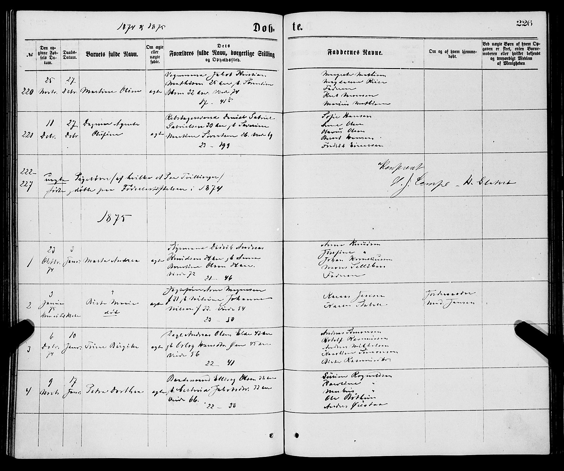 Korskirken sokneprestembete, SAB/A-76101/H/Haa/L0020: Parish register (official) no. B 6, 1871-1878, p. 226