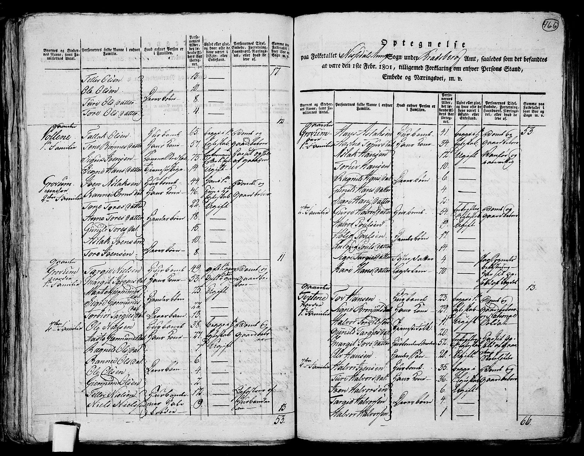 RA, 1801 census for 0829P Kviteseid, 1801, p. 465b-466a