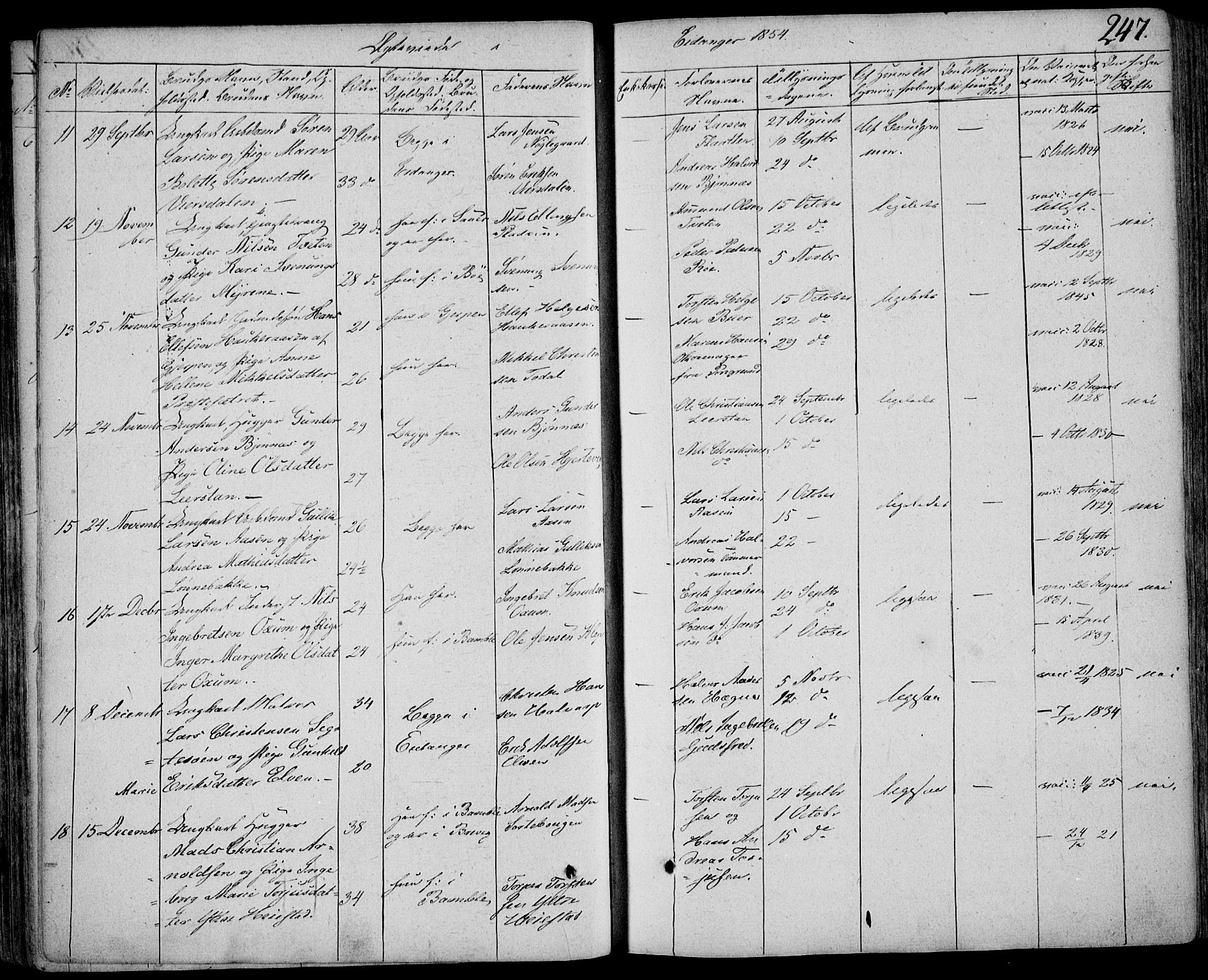 Eidanger kirkebøker, SAKO/A-261/F/Fa/L0008: Parish register (official) no. 8, 1831-1858, p. 247