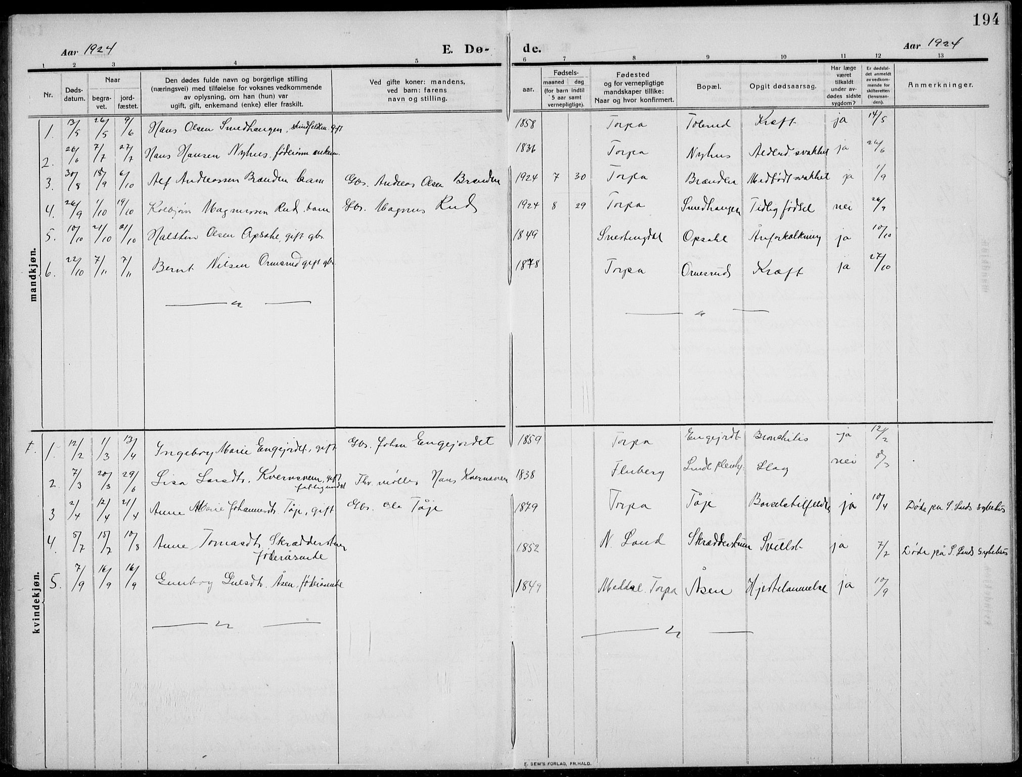 Nordre Land prestekontor, AV/SAH-PREST-124/H/Ha/Hab/L0002: Parish register (copy) no. 2, 1909-1934, p. 194
