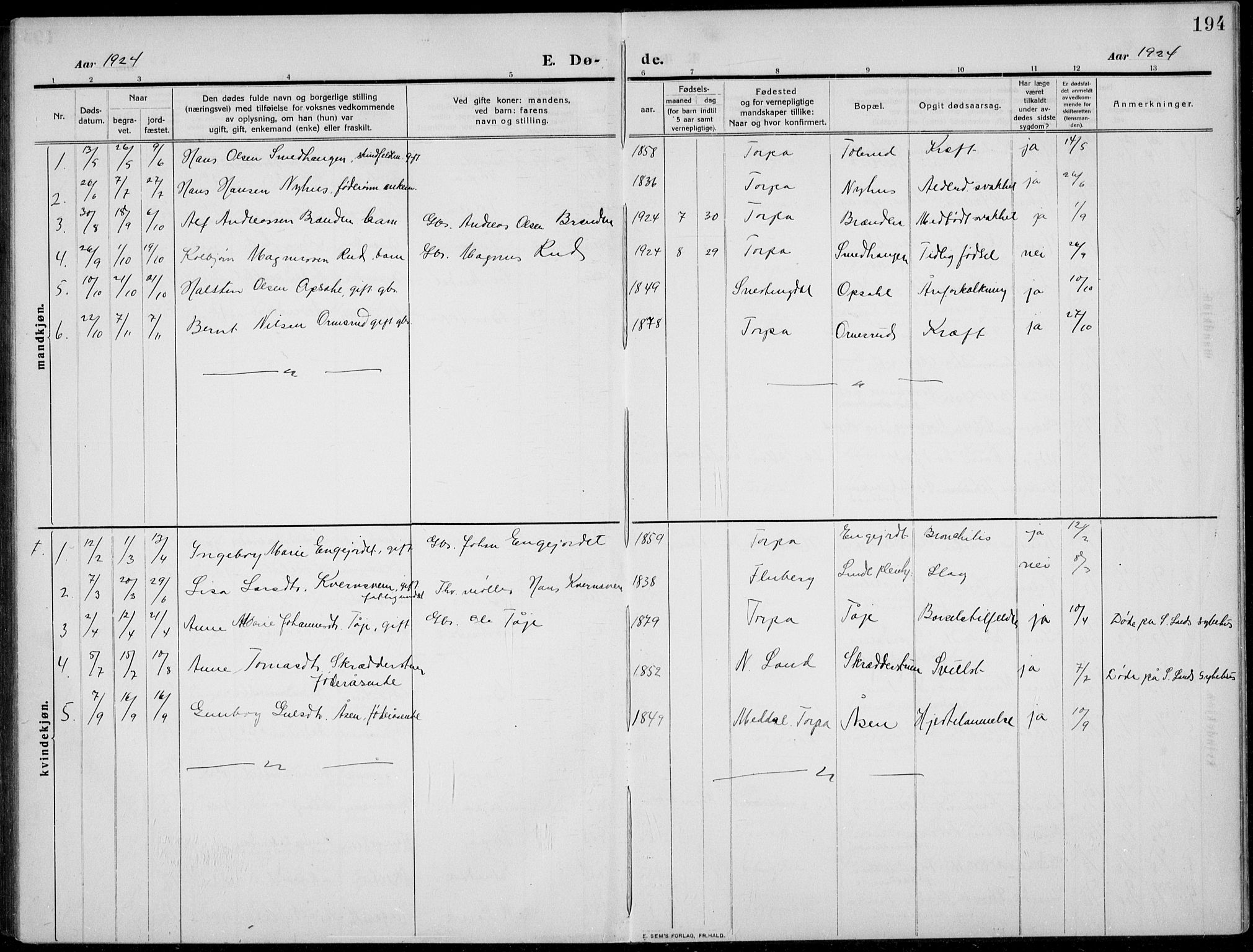 Nordre Land prestekontor, SAH/PREST-124/H/Ha/Hab/L0002: Parish register (copy) no. 2, 1909-1934, p. 194