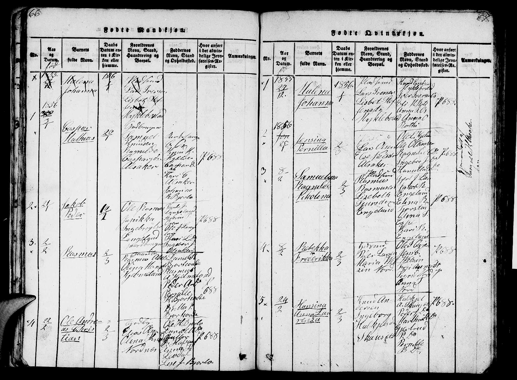 Eid sokneprestembete, AV/SAB-A-82301/H/Hab/Haba/L0001: Parish register (copy) no. A 1, 1816-1862, p. 66-67