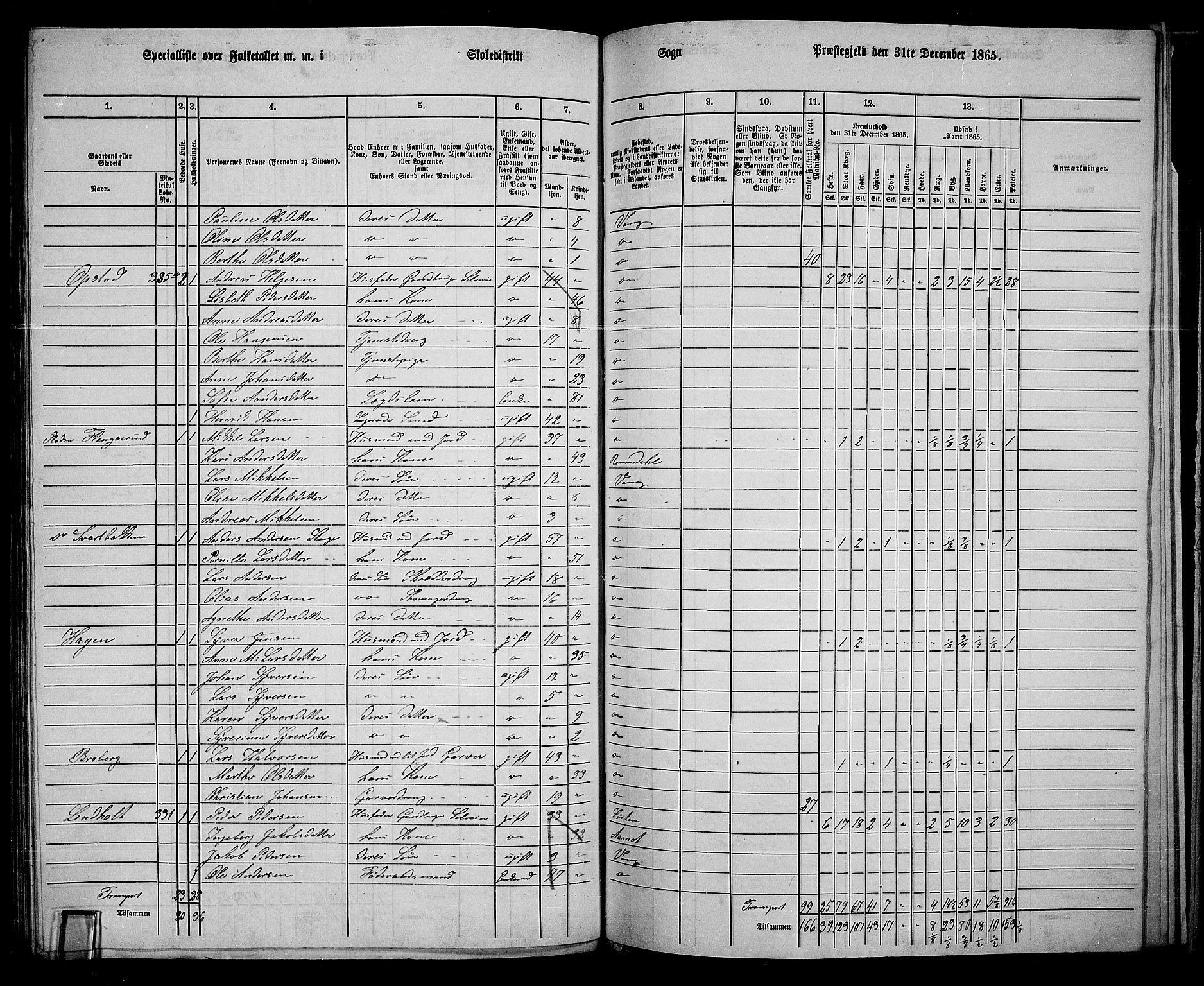 RA, 1865 census for Vang/Vang og Furnes, 1865, p. 299