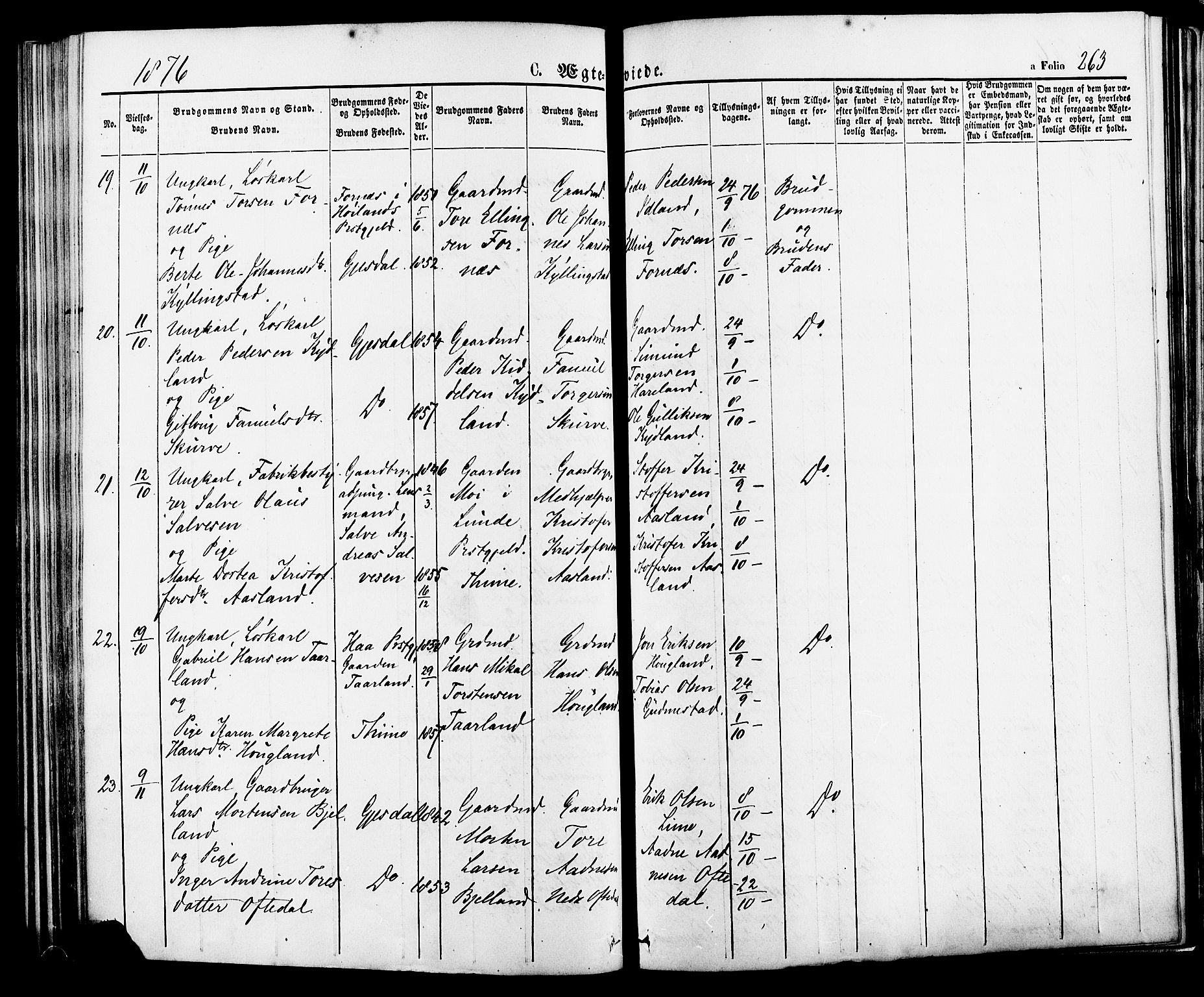 Lye sokneprestkontor, SAST/A-101794/001/30BA/L0008: Parish register (official) no. A 7, 1872-1881, p. 263