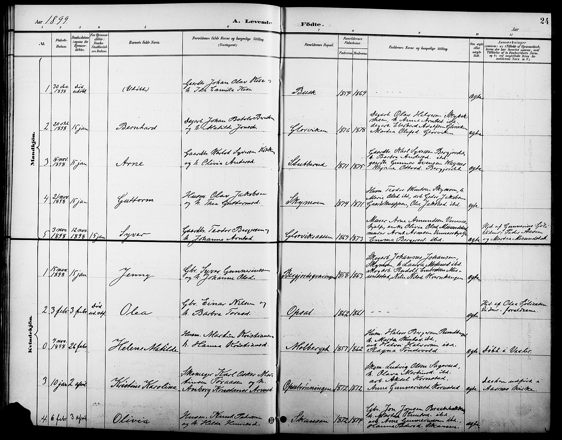 Åsnes prestekontor, AV/SAH-PREST-042/H/Ha/Hab/L0005: Parish register (copy) no. 5, 1895-1920, p. 24