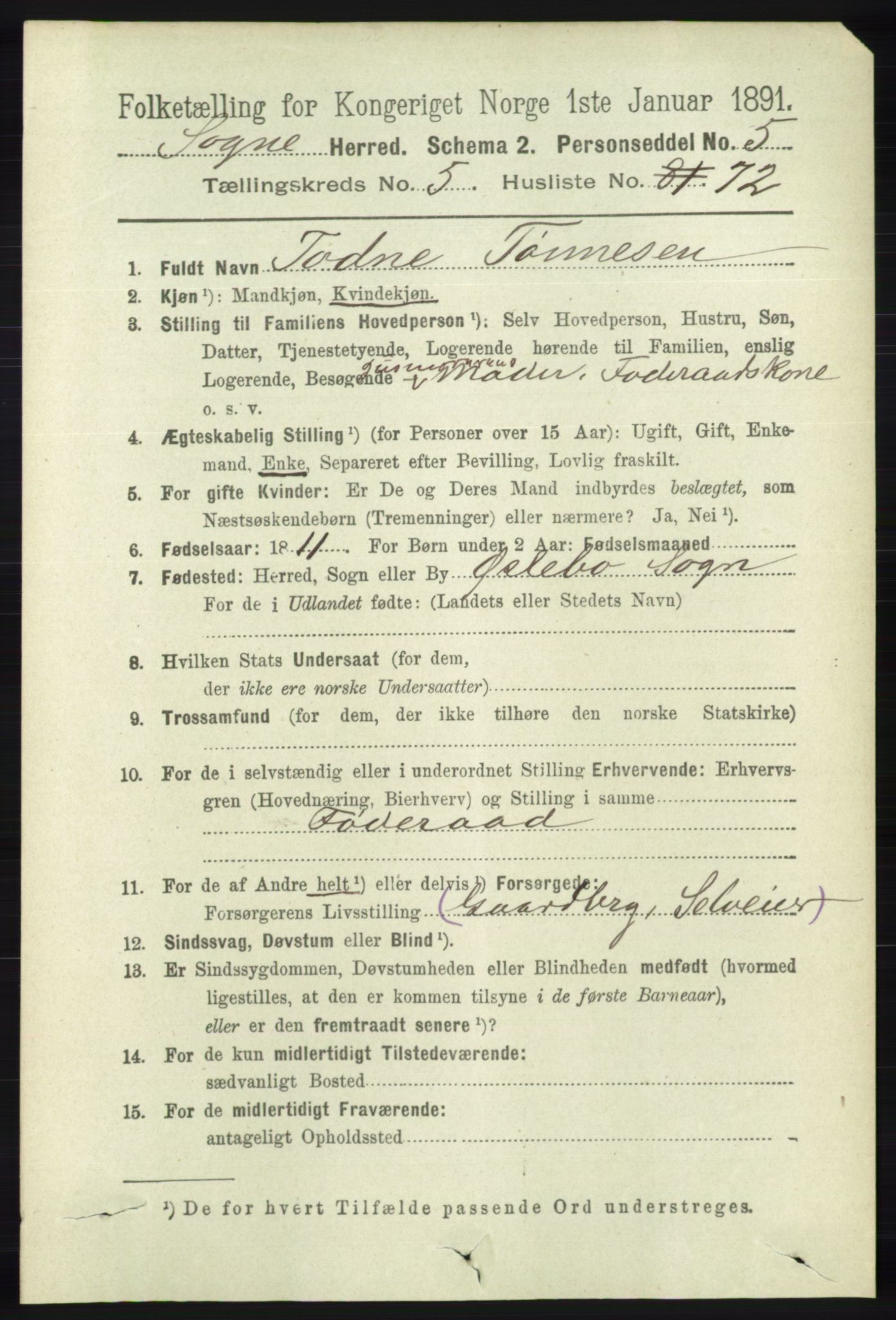 RA, 1891 census for 1018 Søgne, 1891, p. 1348