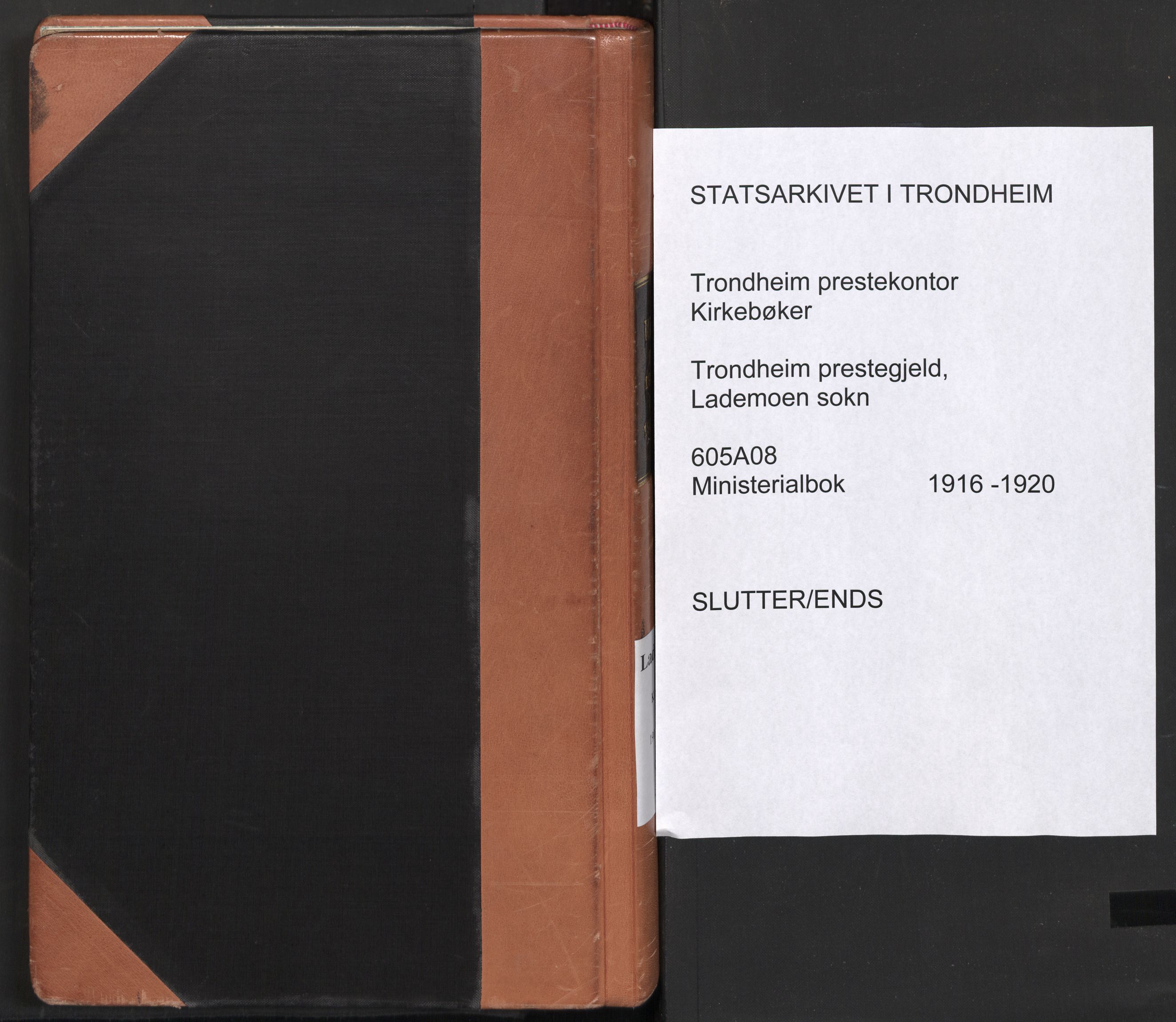 Ministerialprotokoller, klokkerbøker og fødselsregistre - Sør-Trøndelag, AV/SAT-A-1456/605/L0246: Parish register (official) no. 605A08, 1916-1920