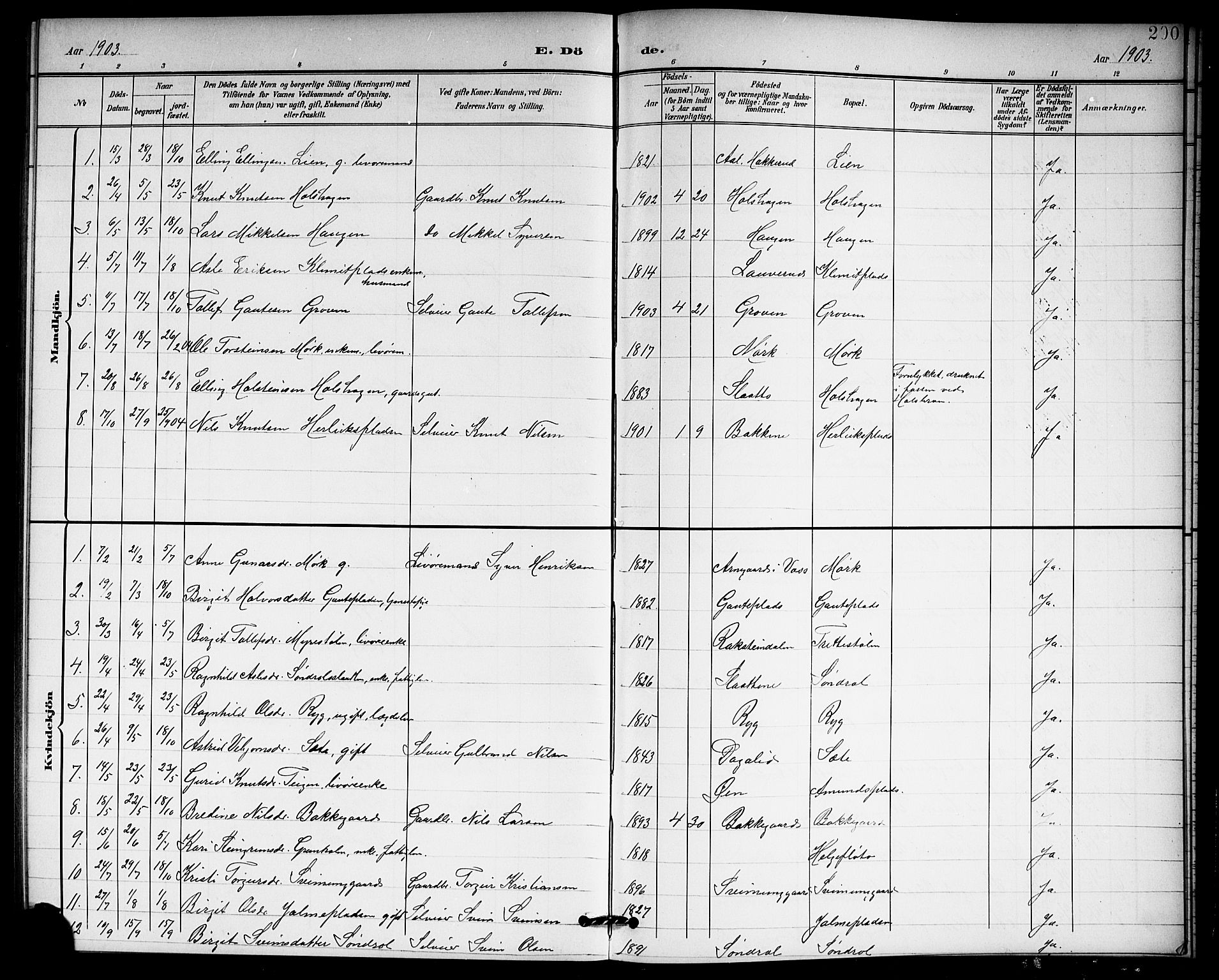 Hol kirkebøker, SAKO/A-227/G/Ga/L0001: Parish register (copy) no. I 1, 1900-1919, p. 200