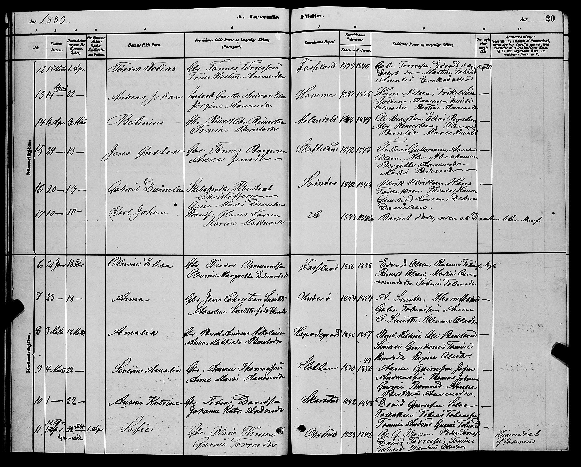 Sør-Audnedal sokneprestkontor, AV/SAK-1111-0039/F/Fb/Fbb/L0005: Parish register (copy) no. B 5, 1880-1892, p. 20