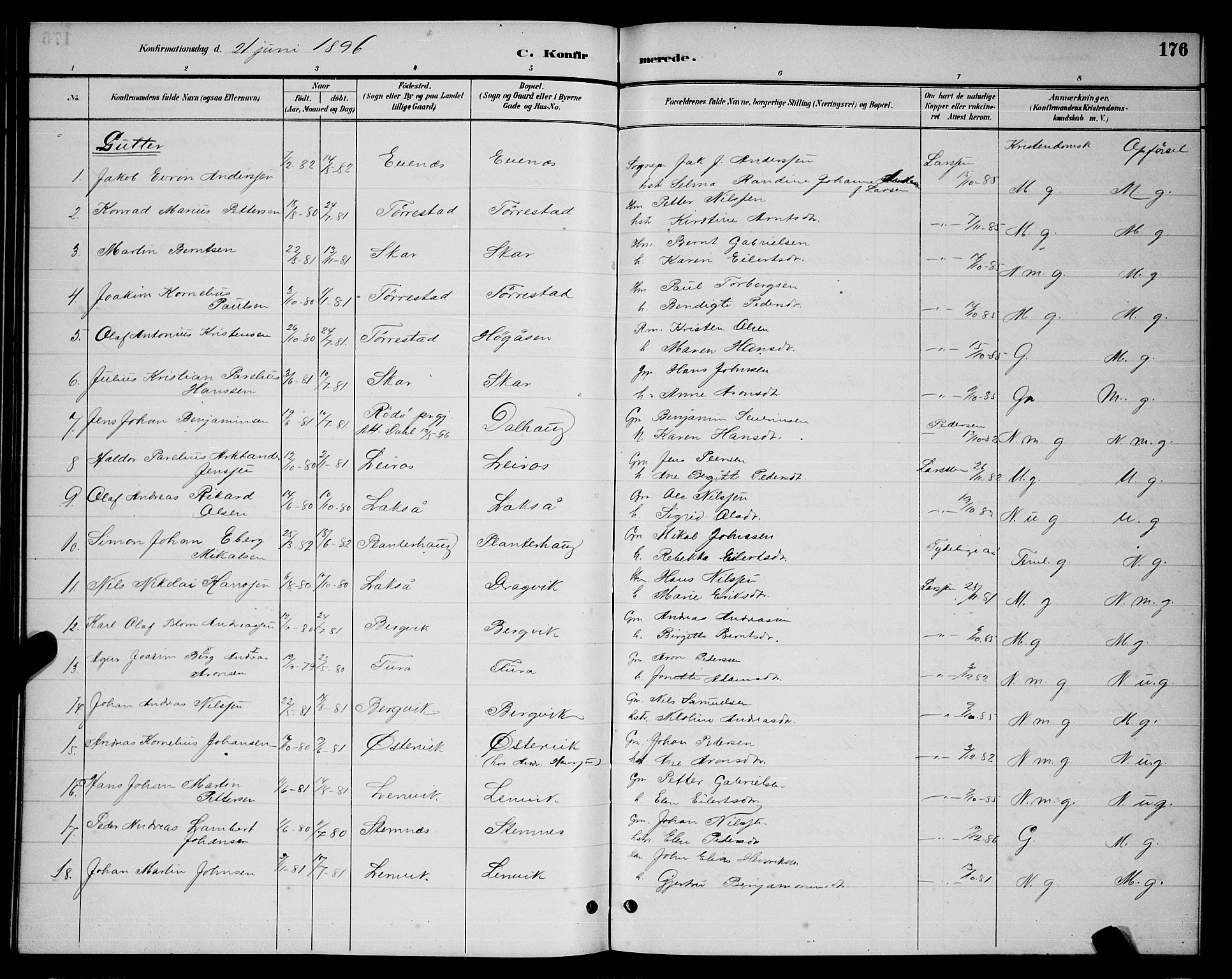 Ministerialprotokoller, klokkerbøker og fødselsregistre - Nordland, AV/SAT-A-1459/863/L0914: Parish register (copy) no. 863C04, 1886-1897, p. 176