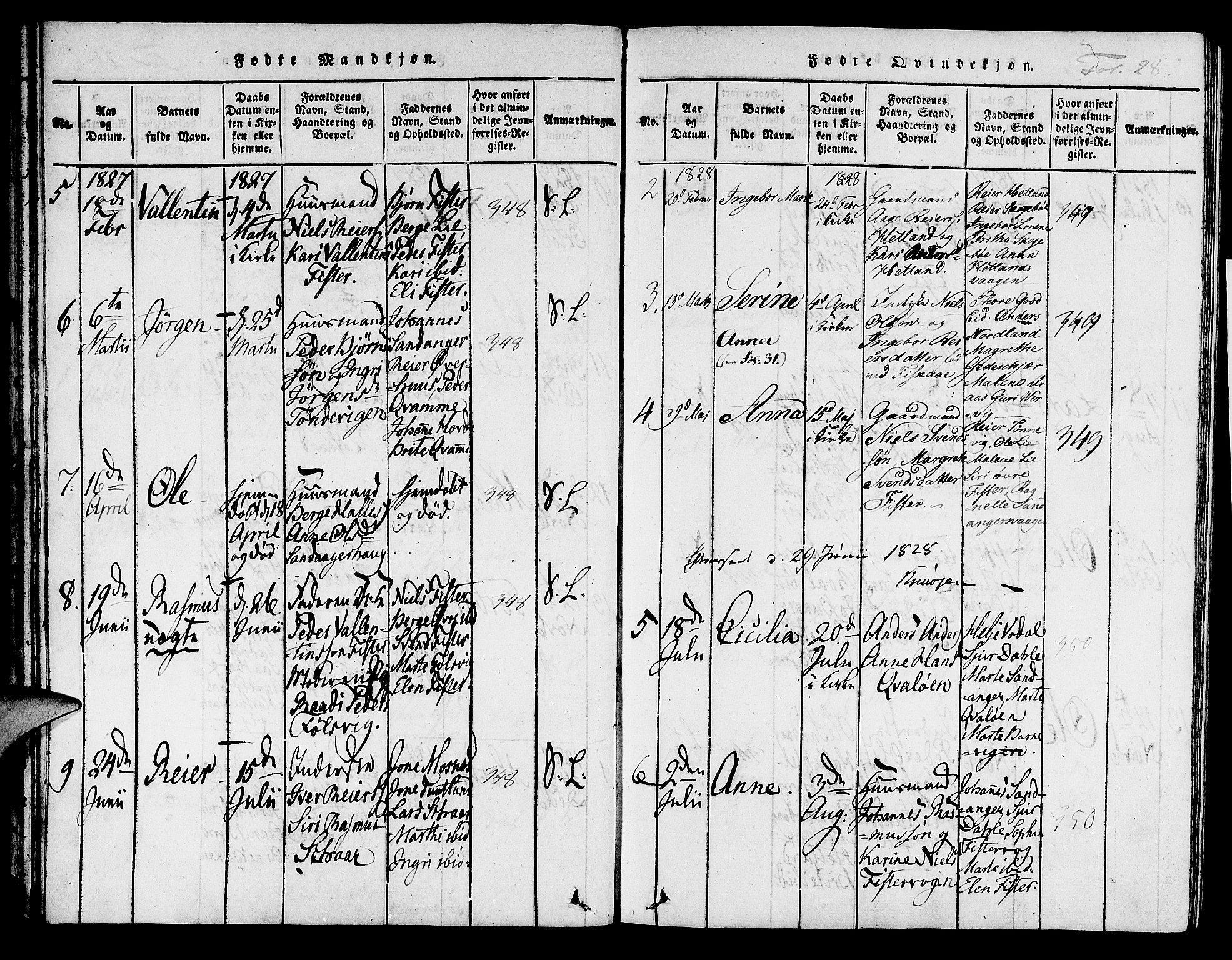 Hjelmeland sokneprestkontor, AV/SAST-A-101843/01/IV/L0004: Parish register (official) no. A 4, 1816-1834, p. 28