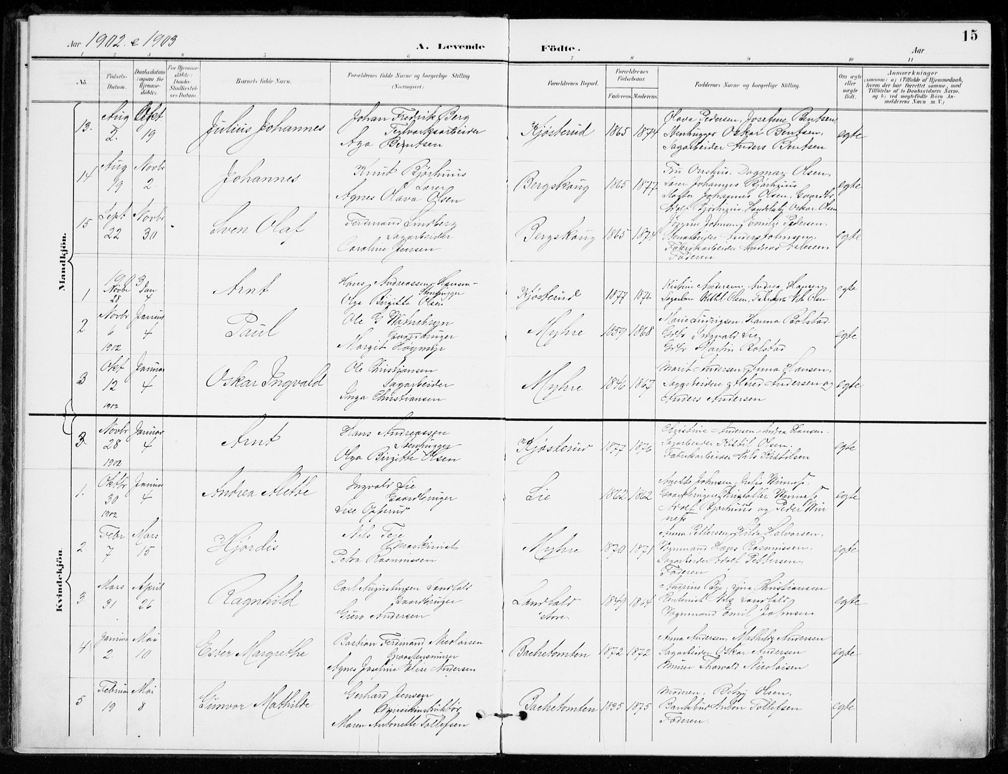 Åssiden kirkebøker, AV/SAKO-A-251/F/Fa/L0002: Parish register (official) no. 2, 1896-1916, p. 15