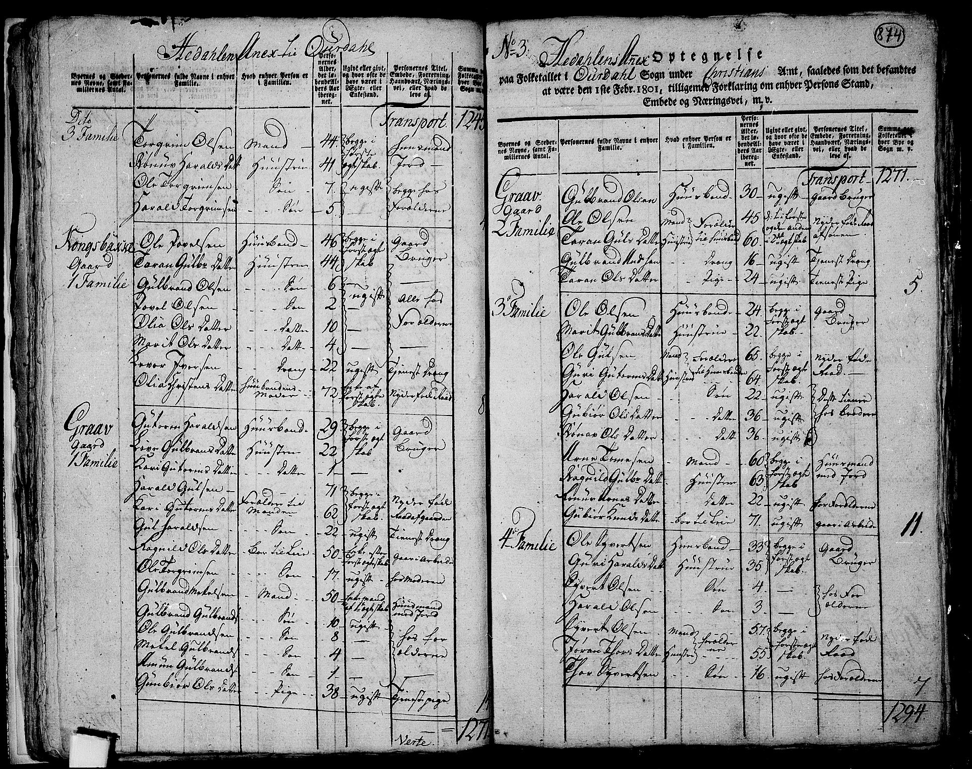 RA, 1801 census for 0542P Aurdal, 1801, p. 873b-874a