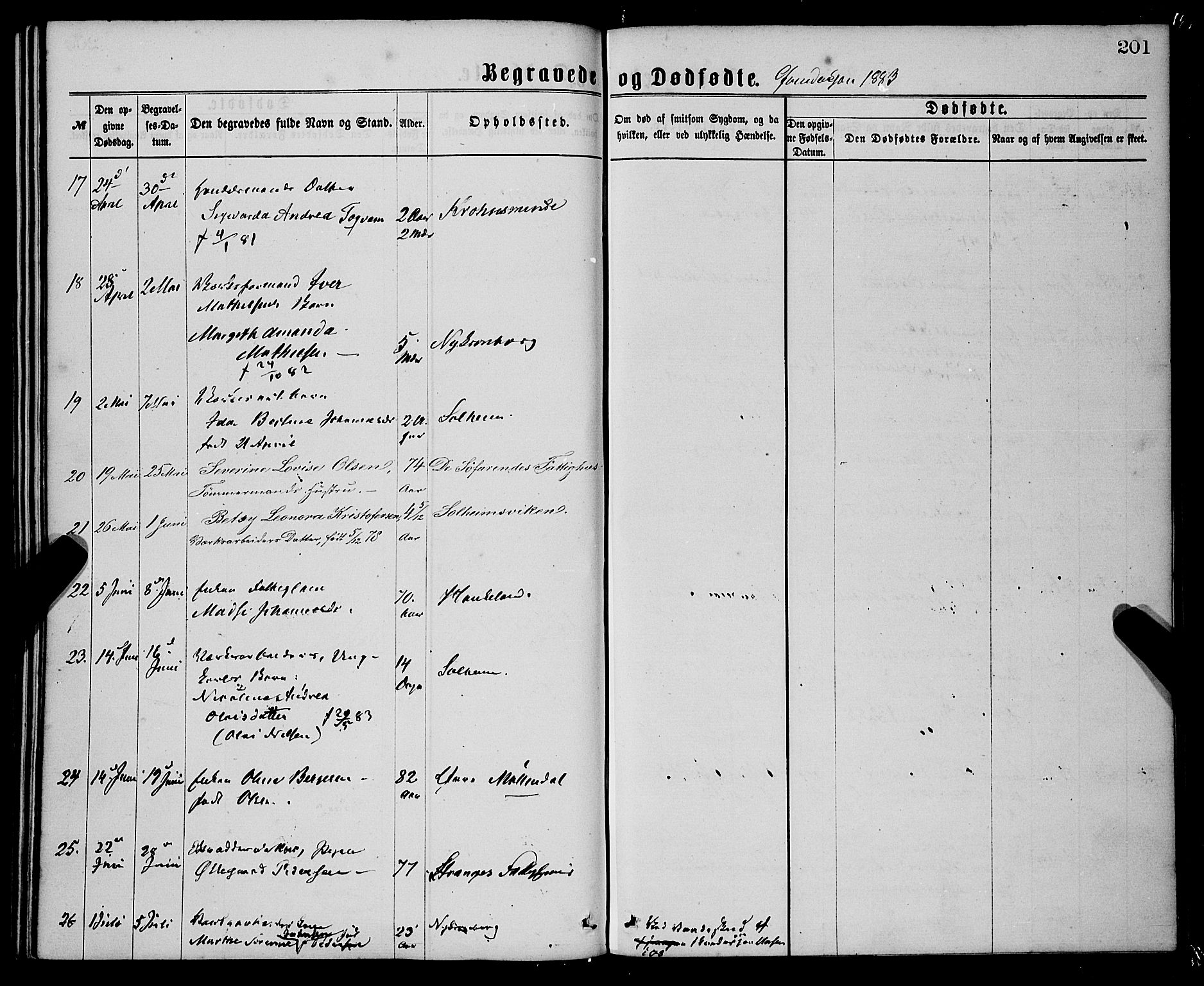 St. Jørgens hospital og Årstad sokneprestembete, AV/SAB-A-99934: Parish register (official) no. A 11, 1864-1886, p. 201