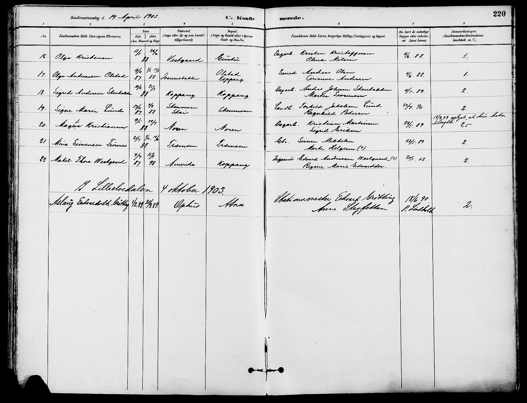 Stor-Elvdal prestekontor, SAH/PREST-052/H/Ha/Haa/L0002: Parish register (official) no. 2, 1882-1907, p. 220