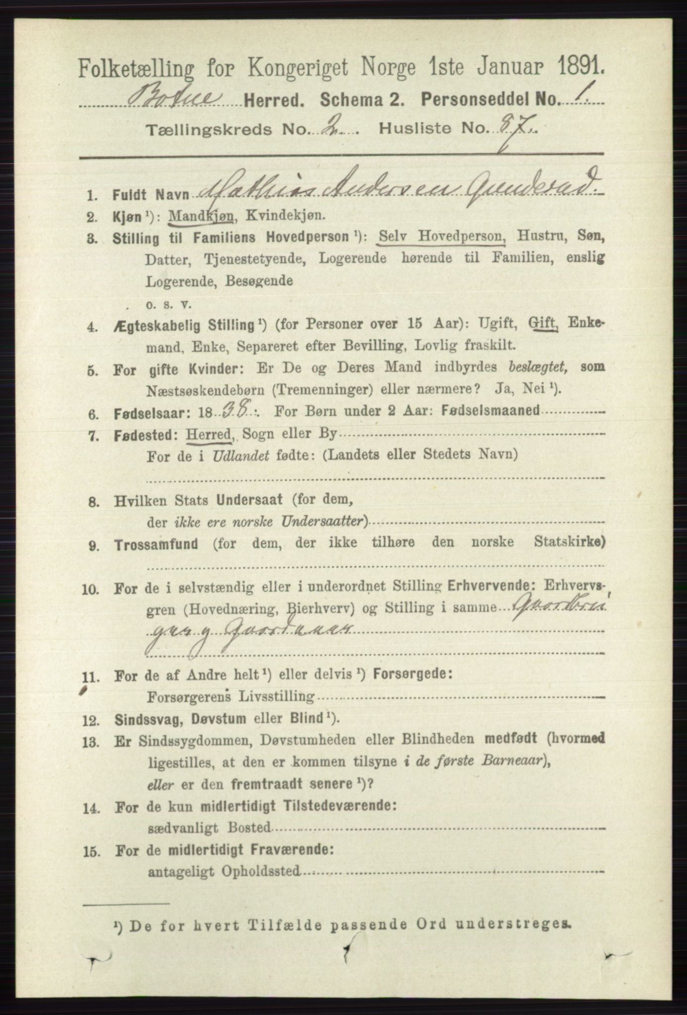 RA, 1891 census for 0715 Botne, 1891, p. 1154