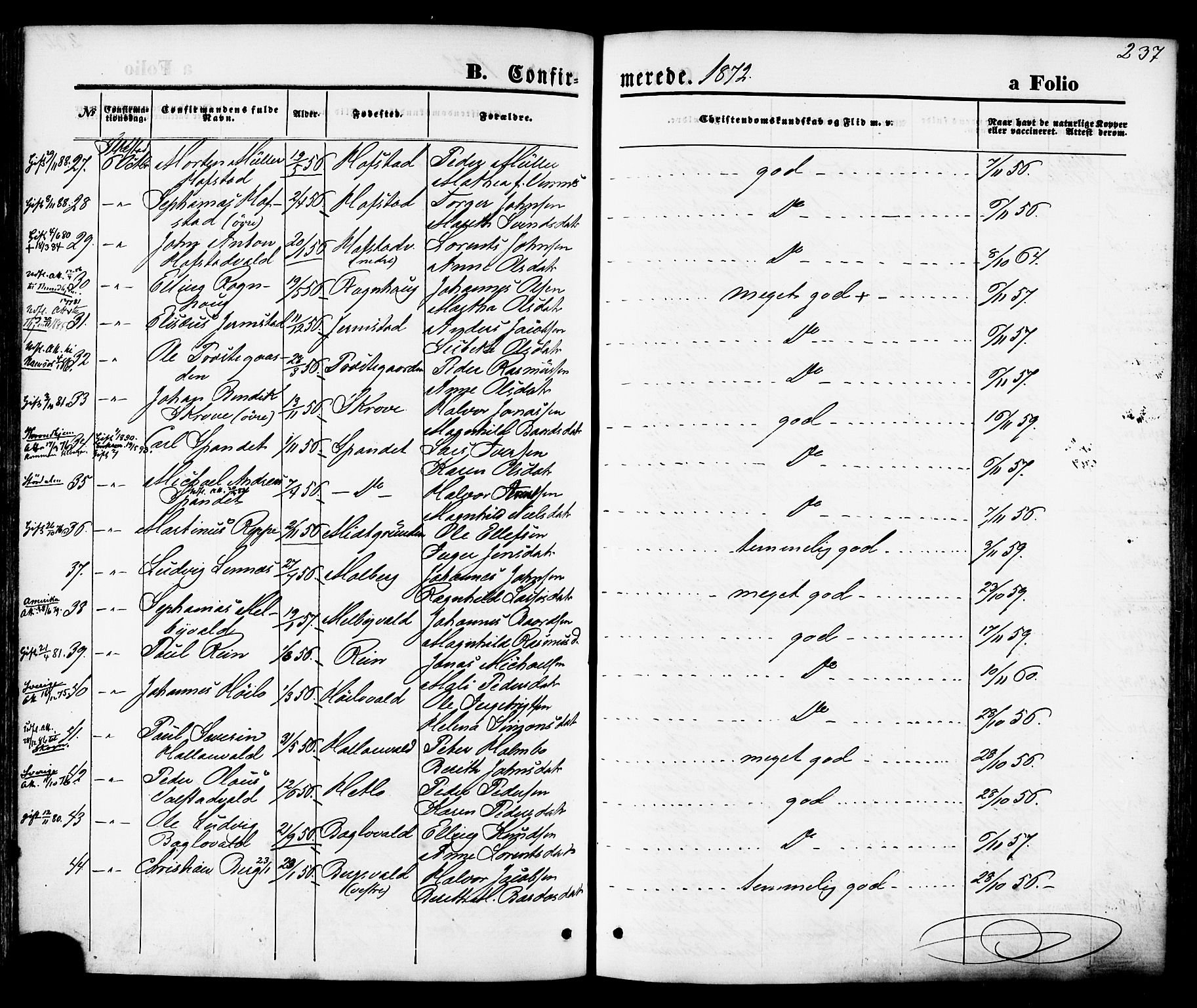 Ministerialprotokoller, klokkerbøker og fødselsregistre - Nord-Trøndelag, AV/SAT-A-1458/723/L0242: Parish register (official) no. 723A11, 1870-1880, p. 237