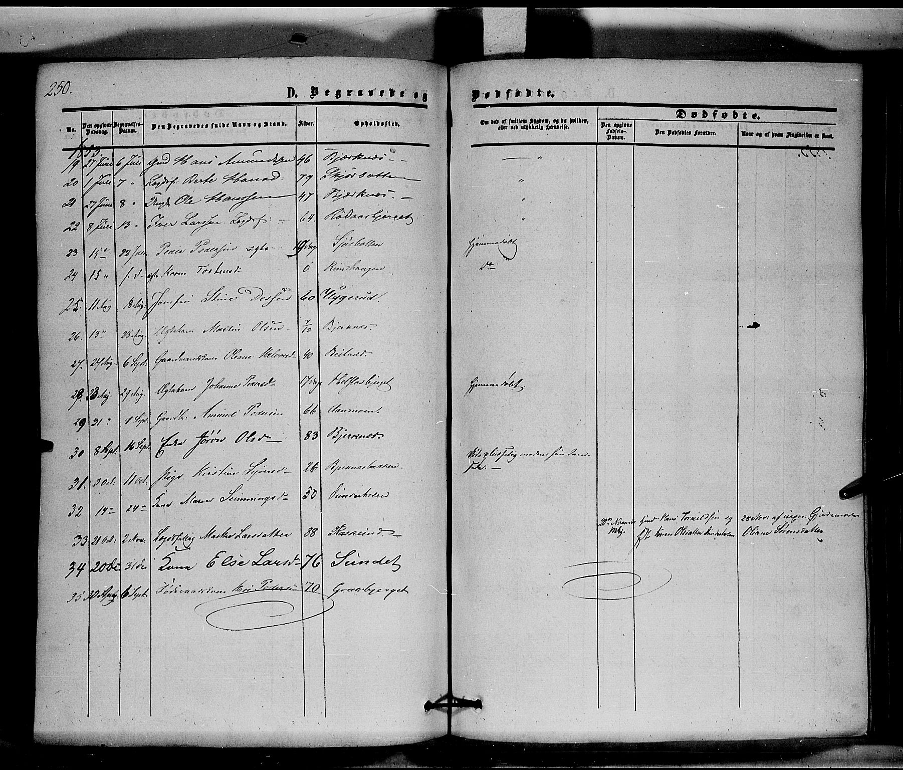 Hof prestekontor, SAH/PREST-038/H/Ha/Haa/L0008: Parish register (official) no. 8, 1849-1861, p. 250