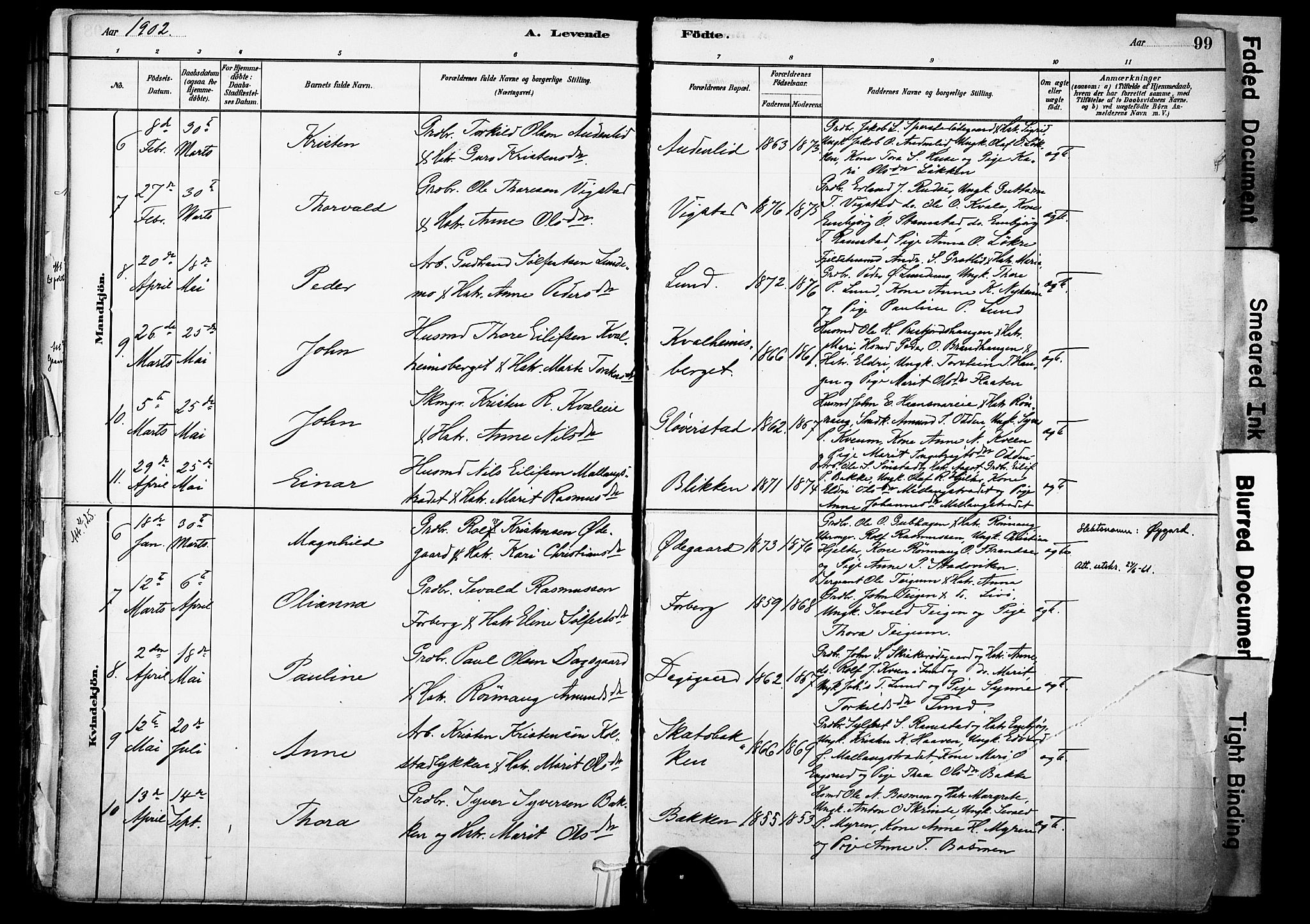 Skjåk prestekontor, AV/SAH-PREST-072/H/Ha/Haa/L0003: Parish register (official) no. 3, 1880-1907, p. 99