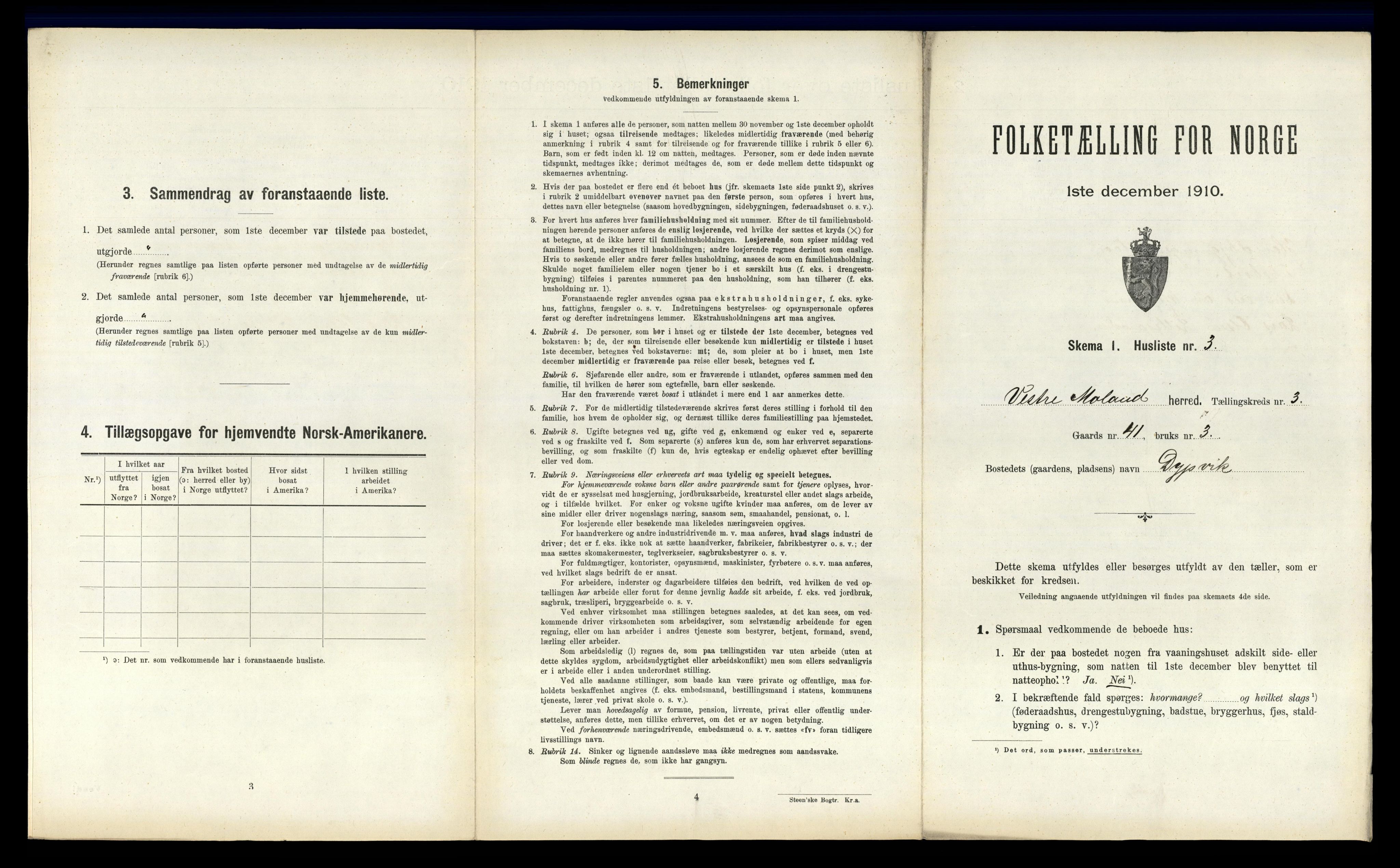 RA, 1910 census for Vestre Moland, 1910, p. 510