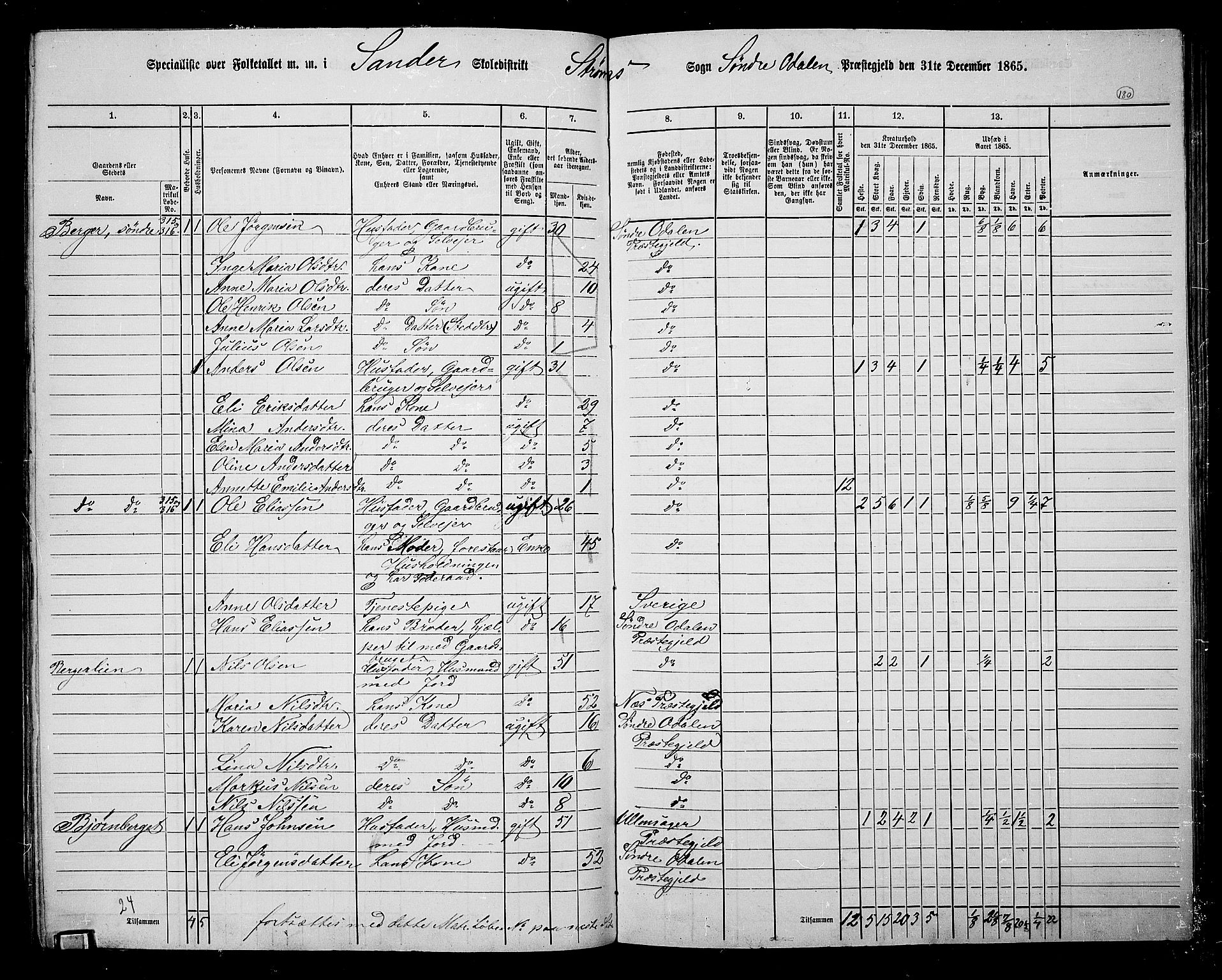 RA, 1865 census for Sør-Odal, 1865, p. 160