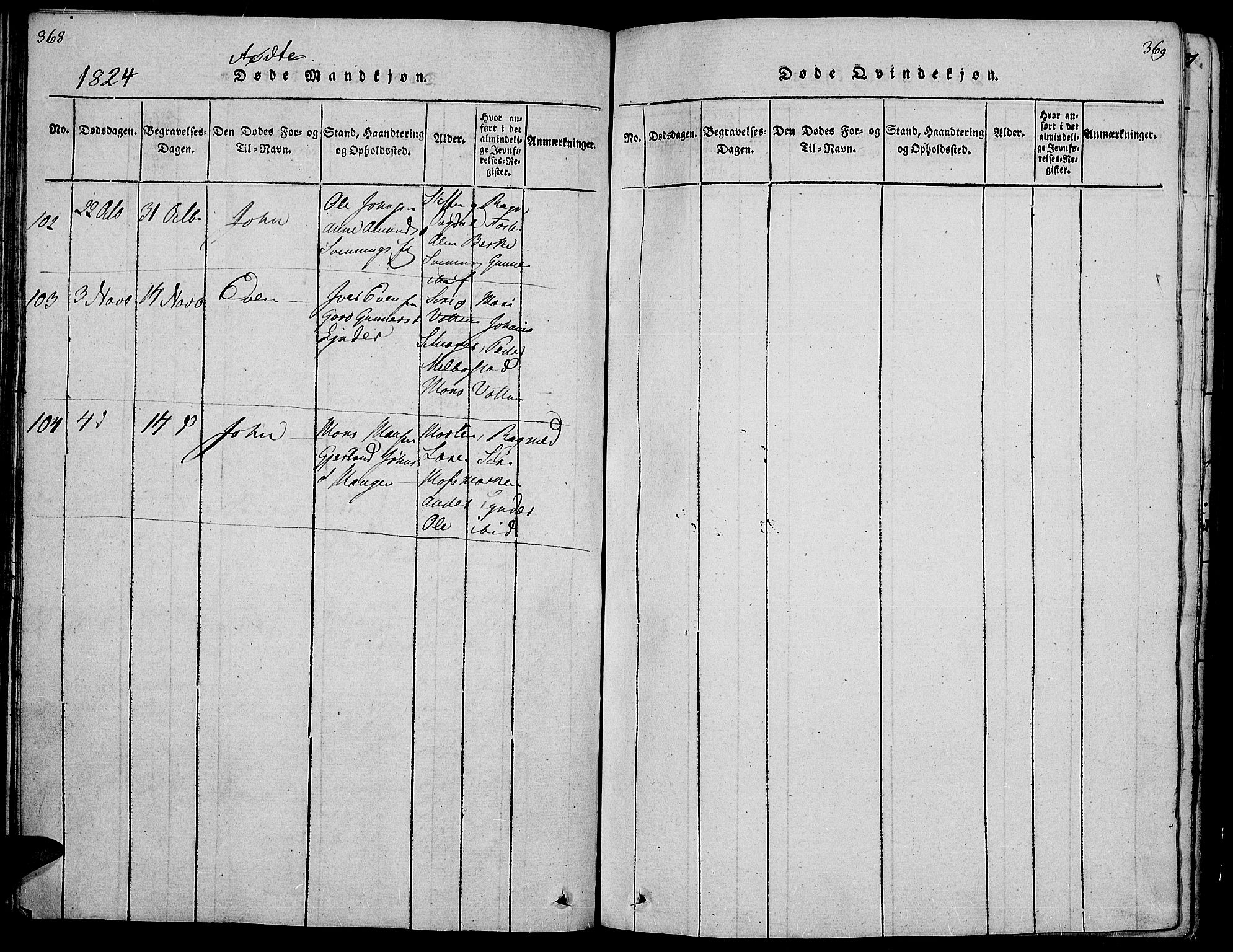 Gran prestekontor, SAH/PREST-112/H/Ha/Hab/L0001: Parish register (copy) no. 1, 1815-1824, p. 368-369