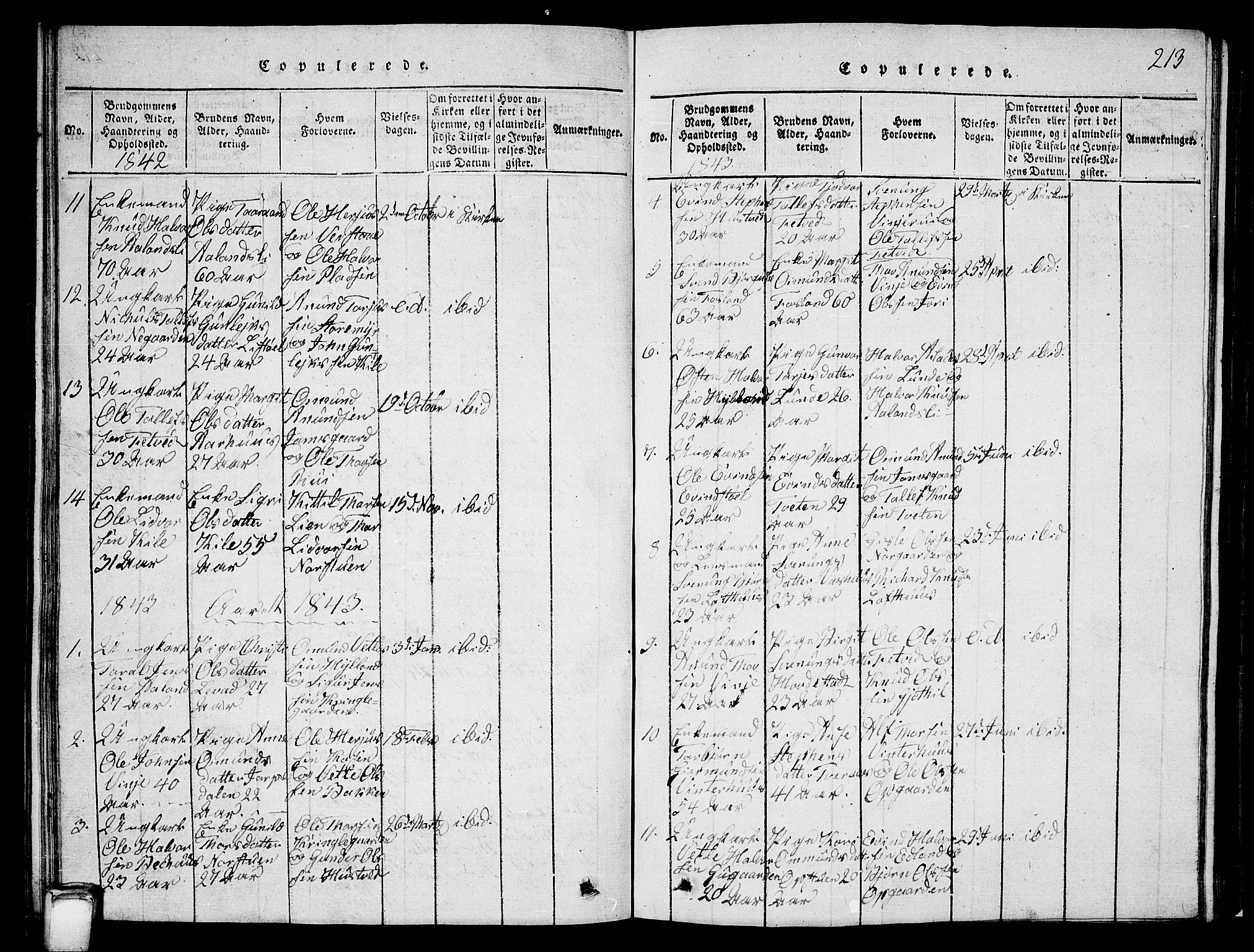 Vinje kirkebøker, SAKO/A-312/G/Ga/L0001: Parish register (copy) no. I 1, 1814-1843, p. 213