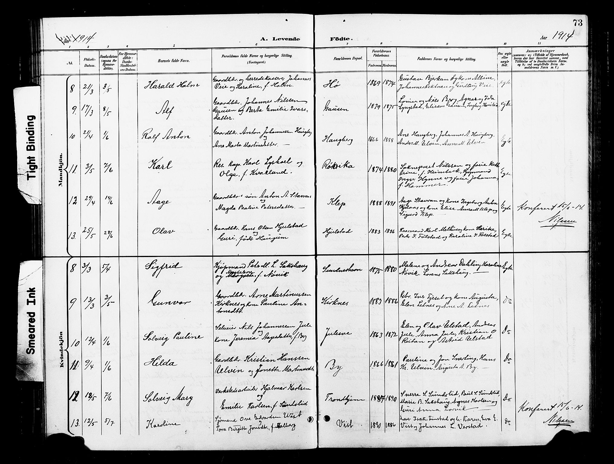 Ministerialprotokoller, klokkerbøker og fødselsregistre - Nord-Trøndelag, SAT/A-1458/730/L0302: Parish register (copy) no. 730C05, 1898-1924, p. 73