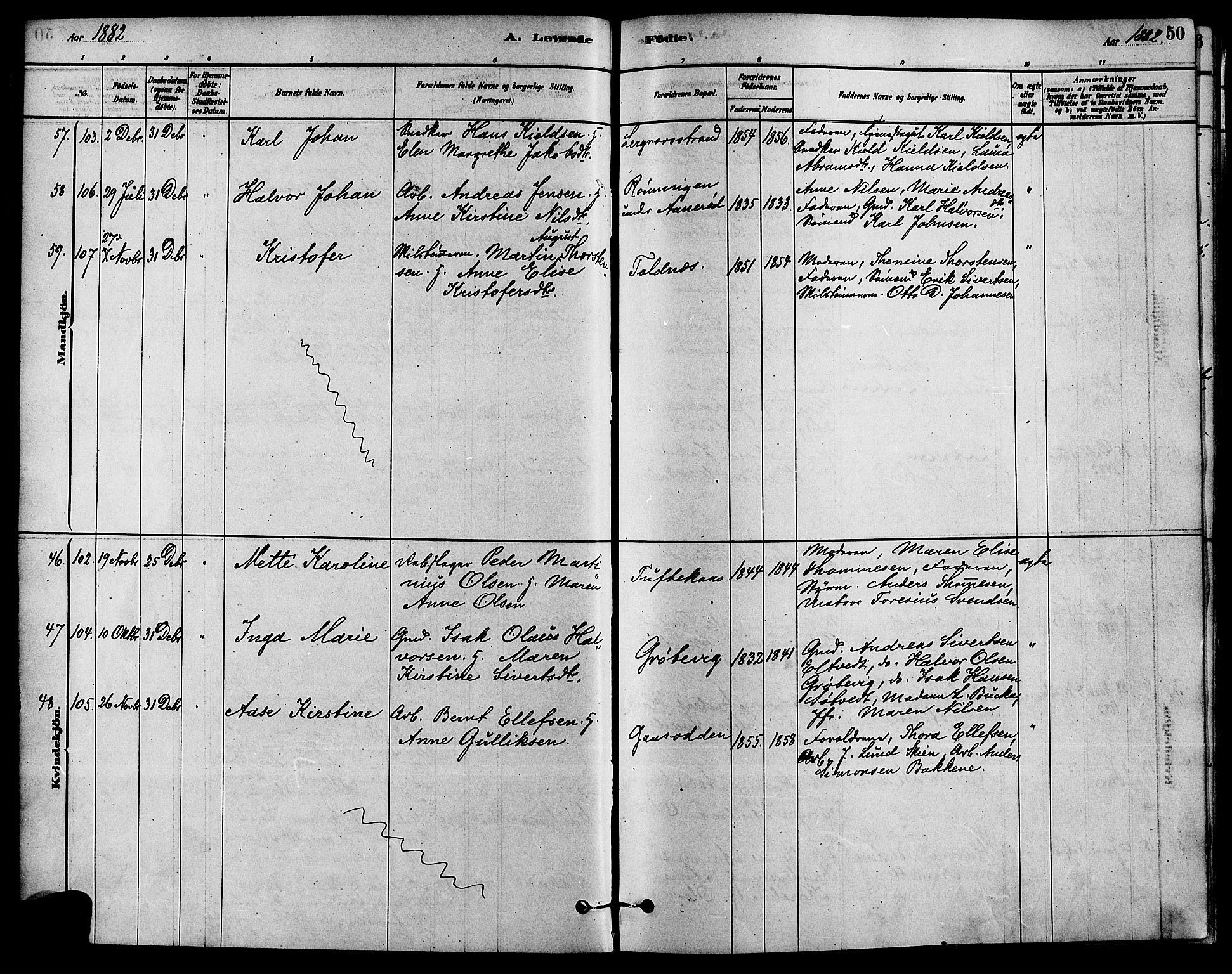 Solum kirkebøker, SAKO/A-306/F/Fa/L0009: Parish register (official) no. I 9, 1877-1887, p. 50
