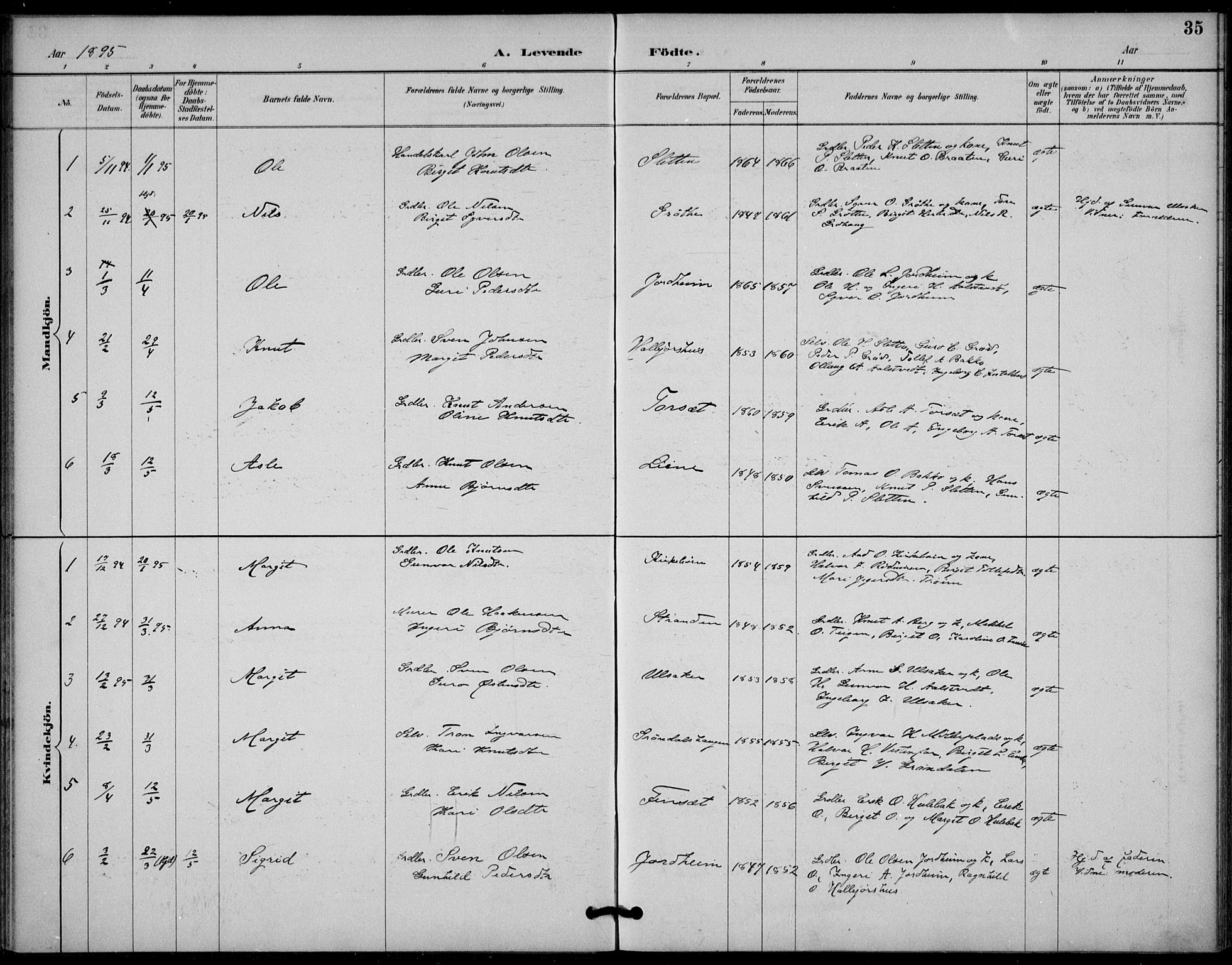 Gol kirkebøker, SAKO/A-226/F/Fb/L0001: Parish register (official) no. II 1, 1887-1900, p. 35