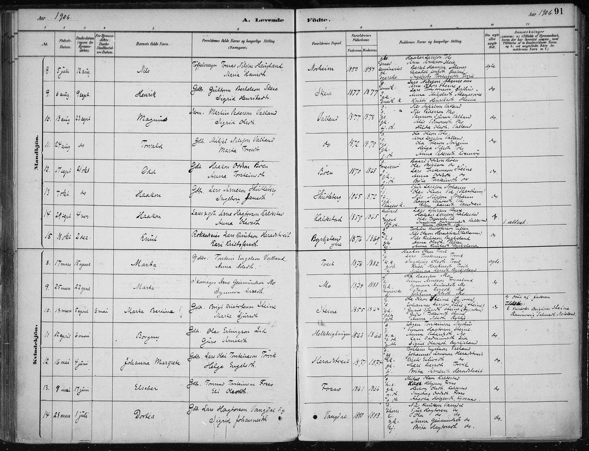 Kvam sokneprestembete, AV/SAB-A-76201/H/Haa: Parish register (official) no. B  1, 1880-1908, p. 91