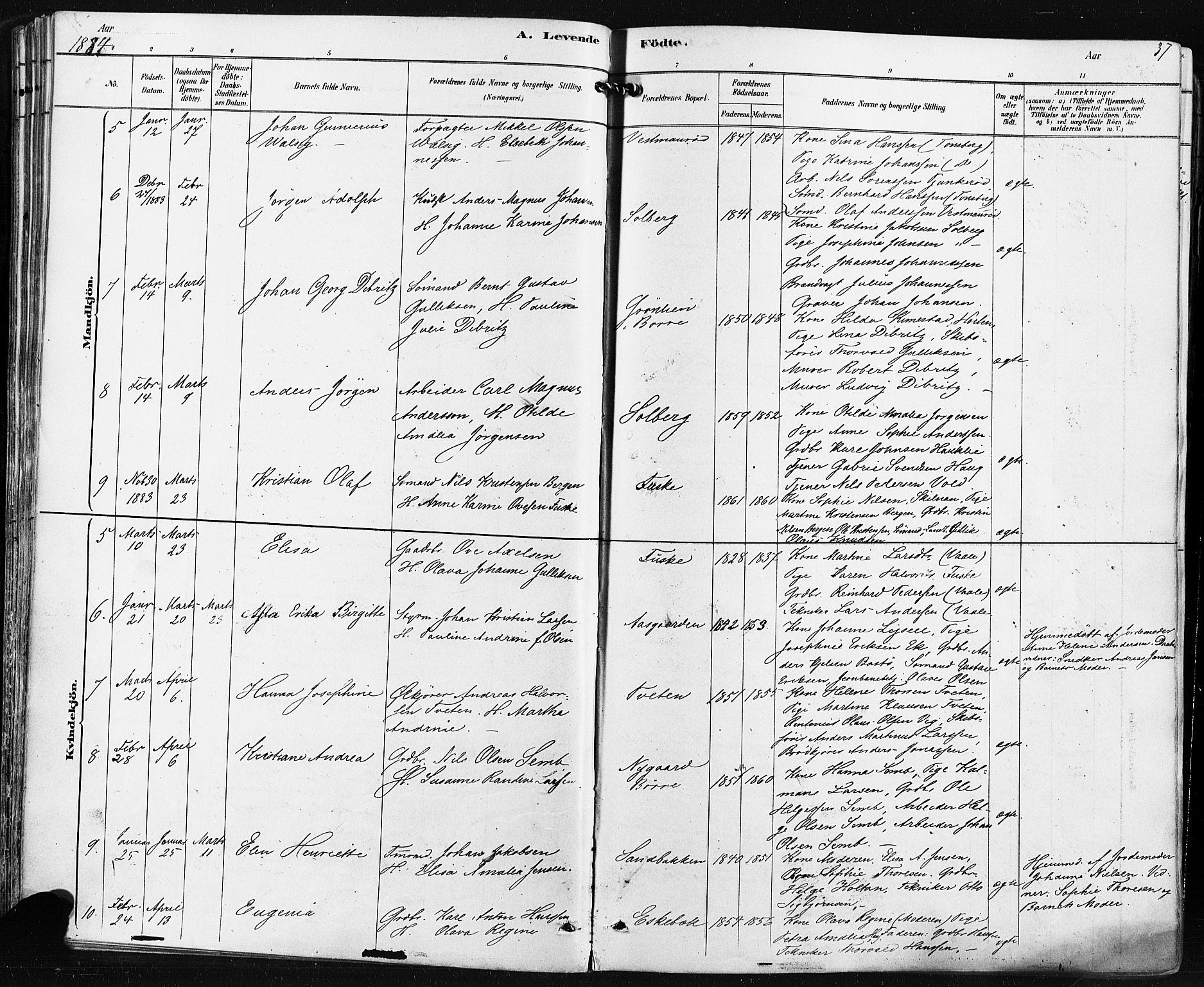 Borre kirkebøker, AV/SAKO-A-338/F/Fa/L0009: Parish register (official) no. I 9, 1878-1896, p. 37