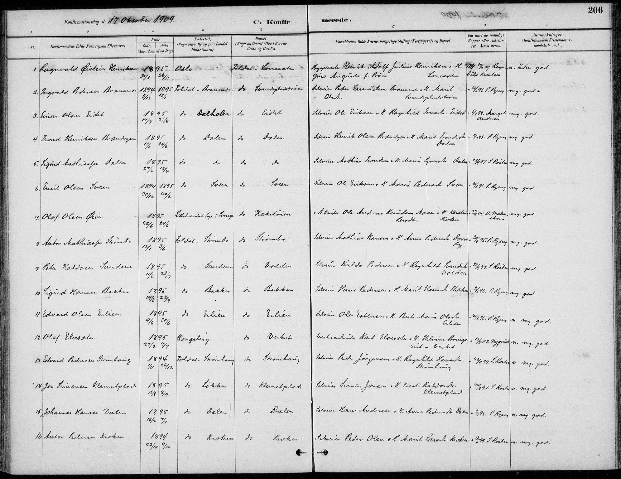 Alvdal prestekontor, SAH/PREST-060/H/Ha/Haa/L0003: Parish register (official) no. 3, 1886-1912, p. 206