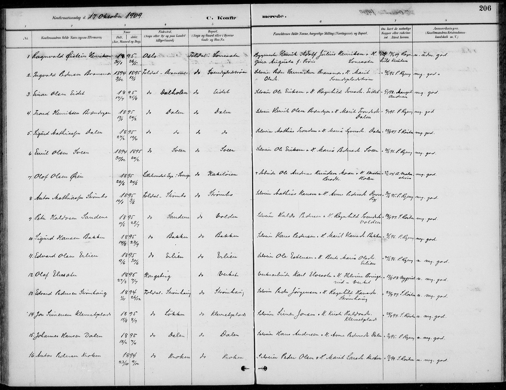 Alvdal prestekontor, AV/SAH-PREST-060/H/Ha/Haa/L0003: Parish register (official) no. 3, 1886-1912, p. 206