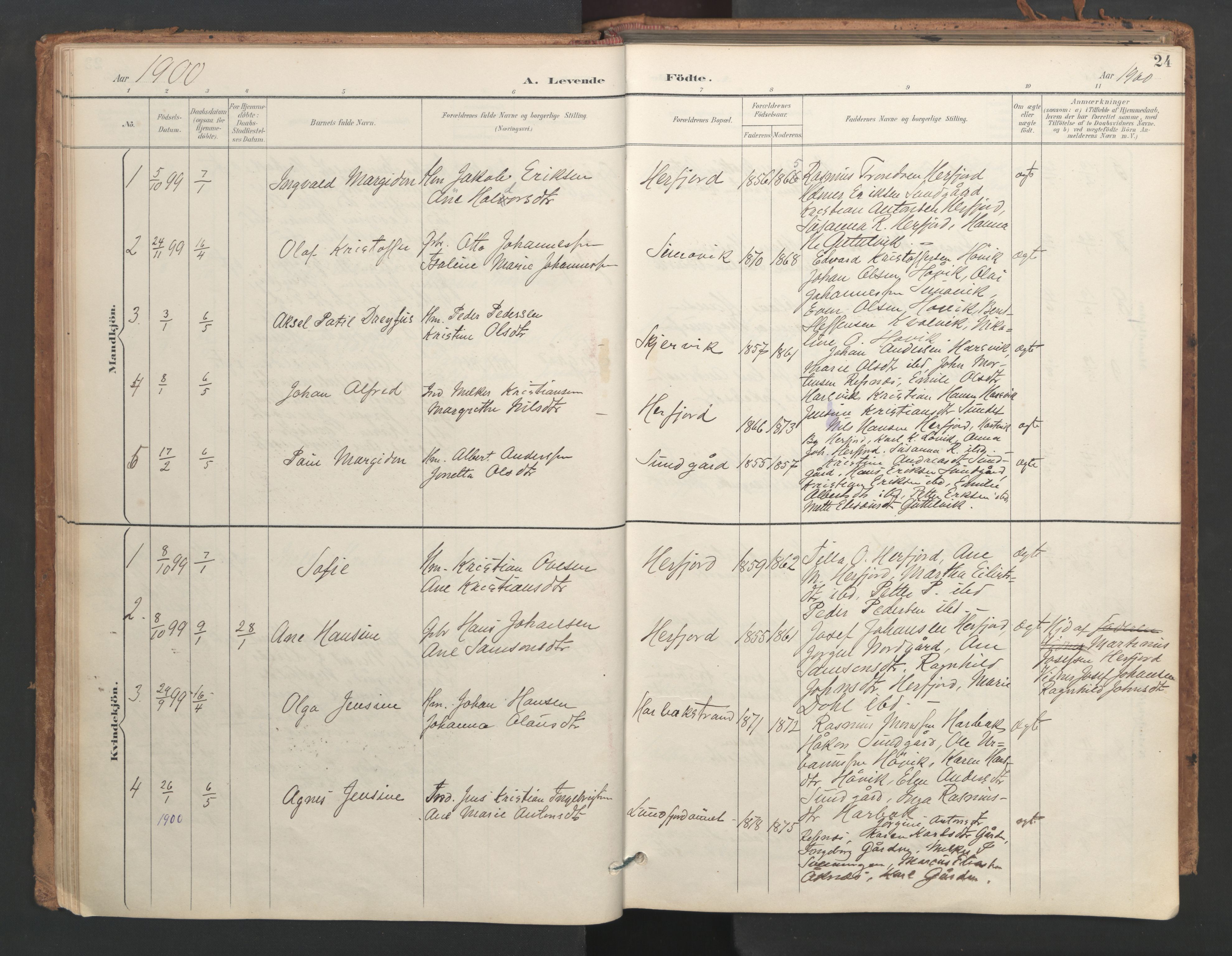 Ministerialprotokoller, klokkerbøker og fødselsregistre - Sør-Trøndelag, SAT/A-1456/656/L0693: Parish register (official) no. 656A02, 1894-1913, p. 24
