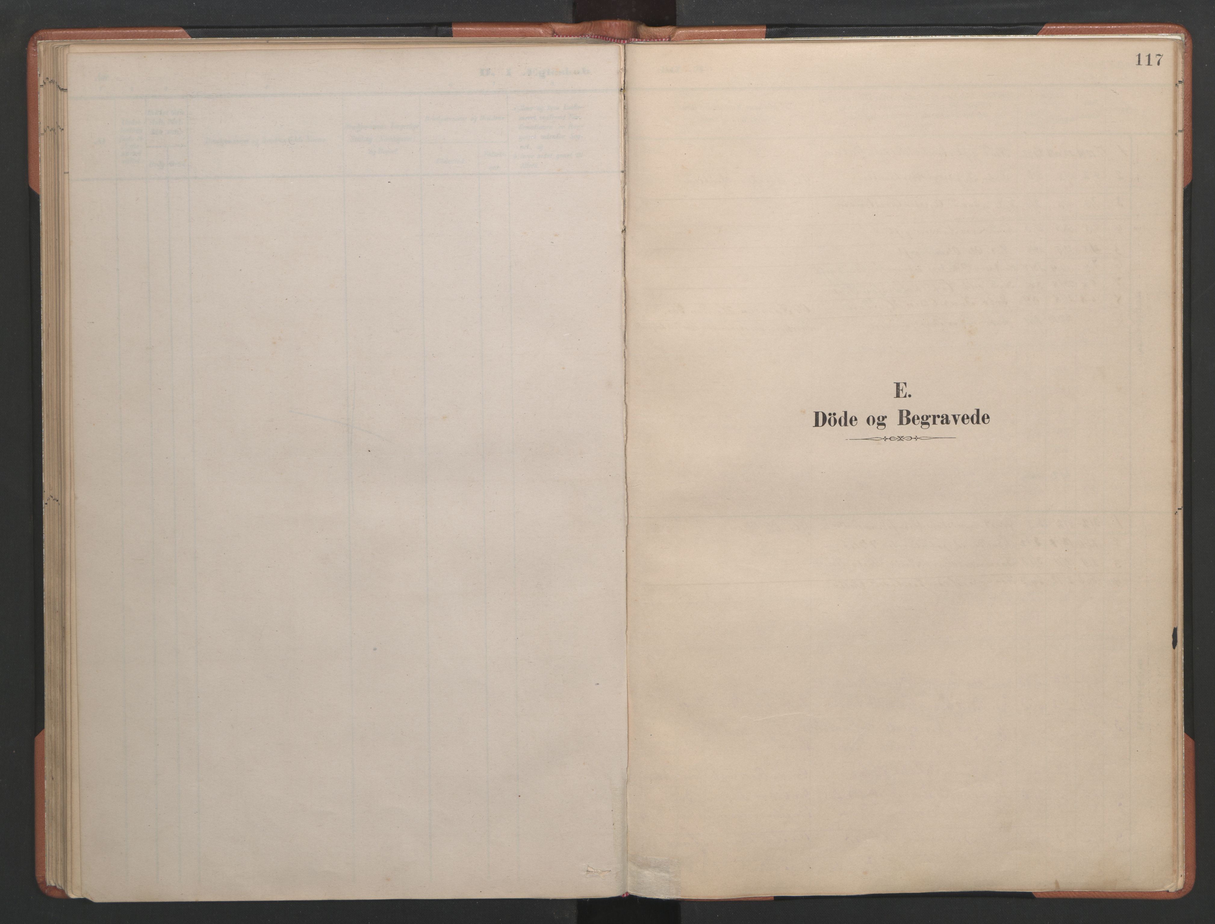 Ministerialprotokoller, klokkerbøker og fødselsregistre - Møre og Romsdal, SAT/A-1454/580/L0926: Parish register (copy) no. 580C01, 1882-1903, p. 117