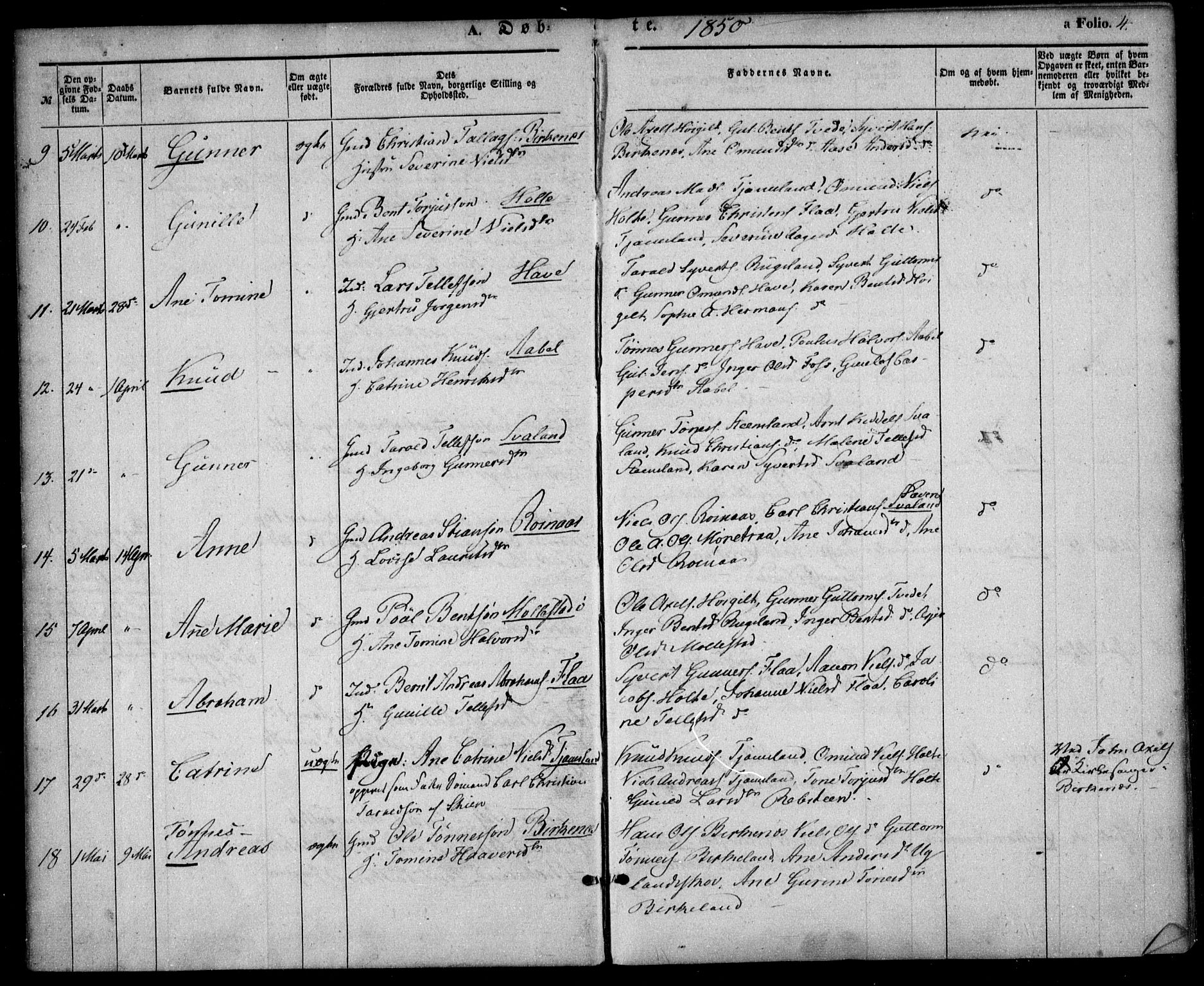 Birkenes sokneprestkontor, AV/SAK-1111-0004/F/Fa/L0003: Parish register (official) no. A 3, 1850-1866, p. 4