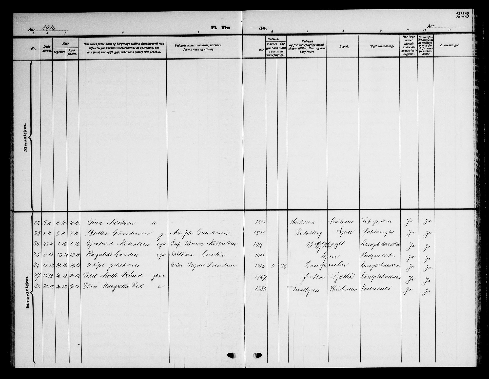 Nordstrand prestekontor Kirkebøker, AV/SAO-A-10362a/G/Ga/L0001: Parish register (copy) no. I 1, 1911-1918, p. 223