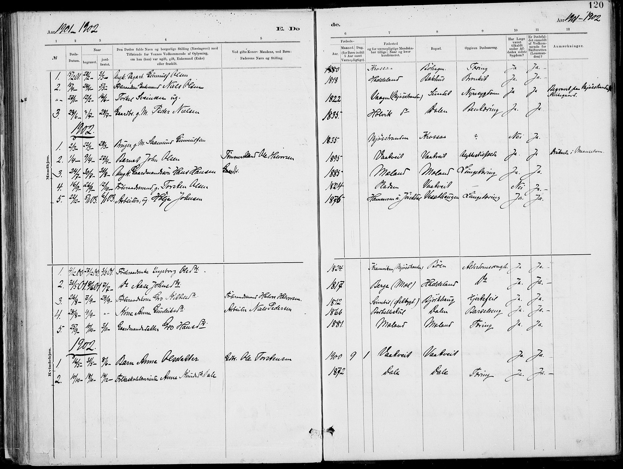 Rjukan kirkebøker, SAKO/A-294/F/Fa/L0001: Parish register (official) no. 1, 1878-1912, p. 120