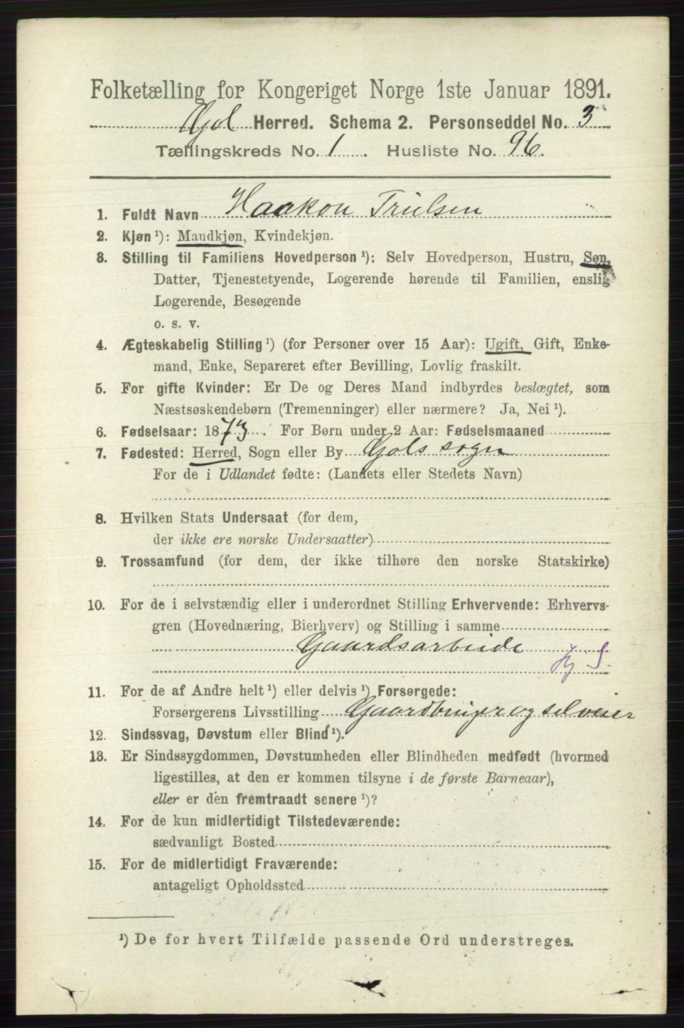 RA, 1891 census for 0617 Gol og Hemsedal, 1891, p. 620