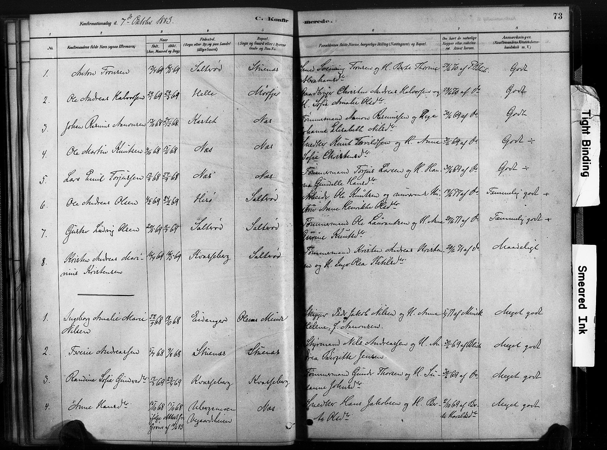 Austre Moland sokneprestkontor, SAK/1111-0001/F/Fa/Fab/L0001: Parish register (official) no. A 1, 1878-1898, p. 73