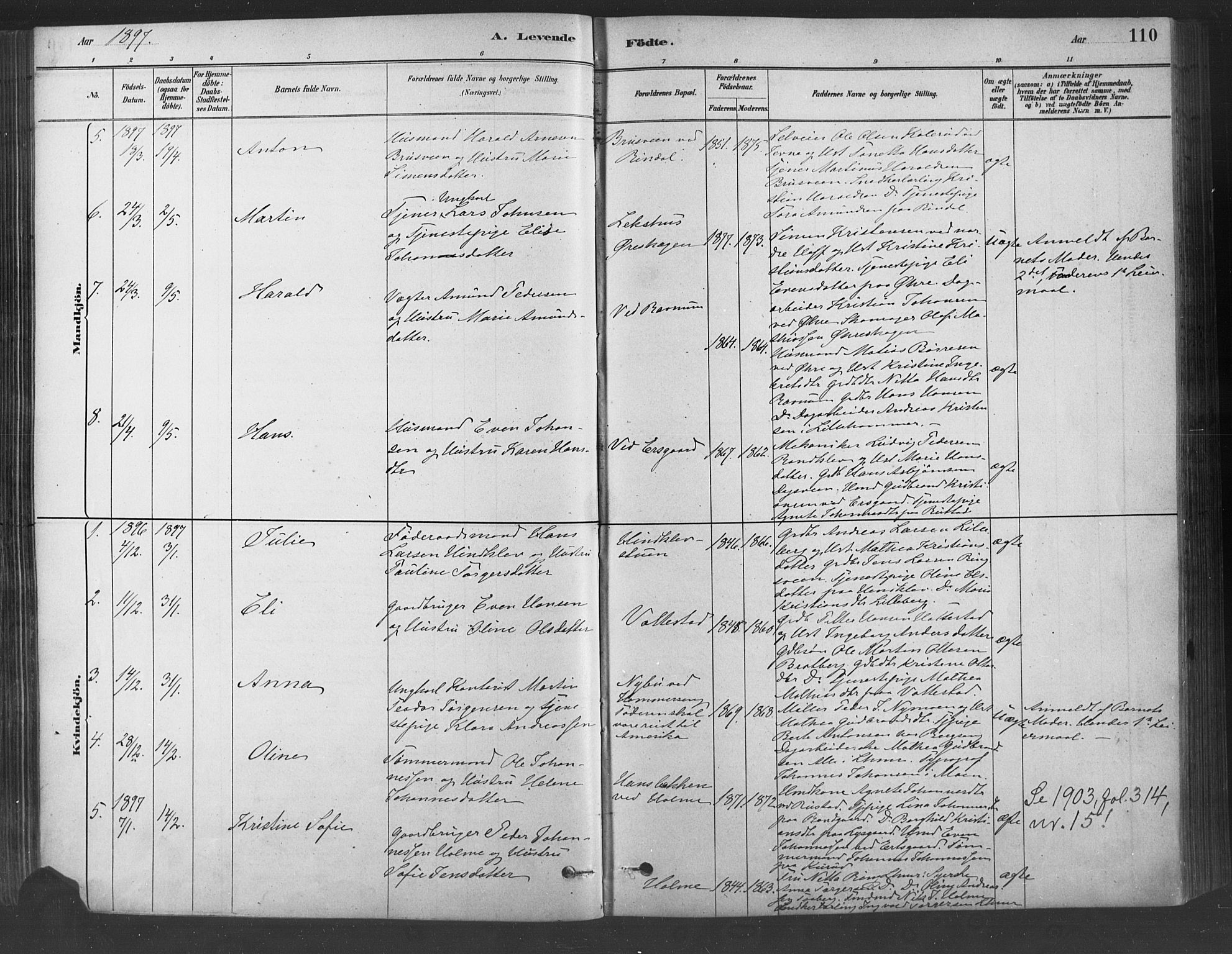 Fåberg prestekontor, SAH/PREST-086/H/Ha/Haa/L0009: Parish register (official) no. 9, 1879-1898, p. 110