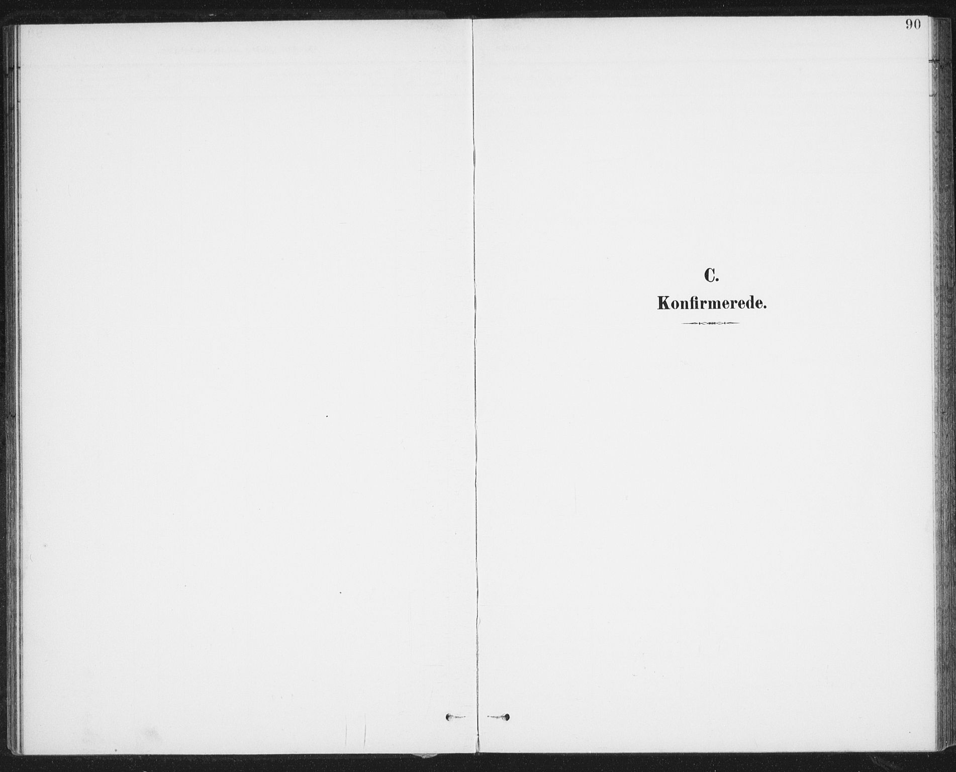 Ministerialprotokoller, klokkerbøker og fødselsregistre - Nordland, SAT/A-1459/899/L1437: Parish register (official) no. 899A05, 1897-1908, p. 90