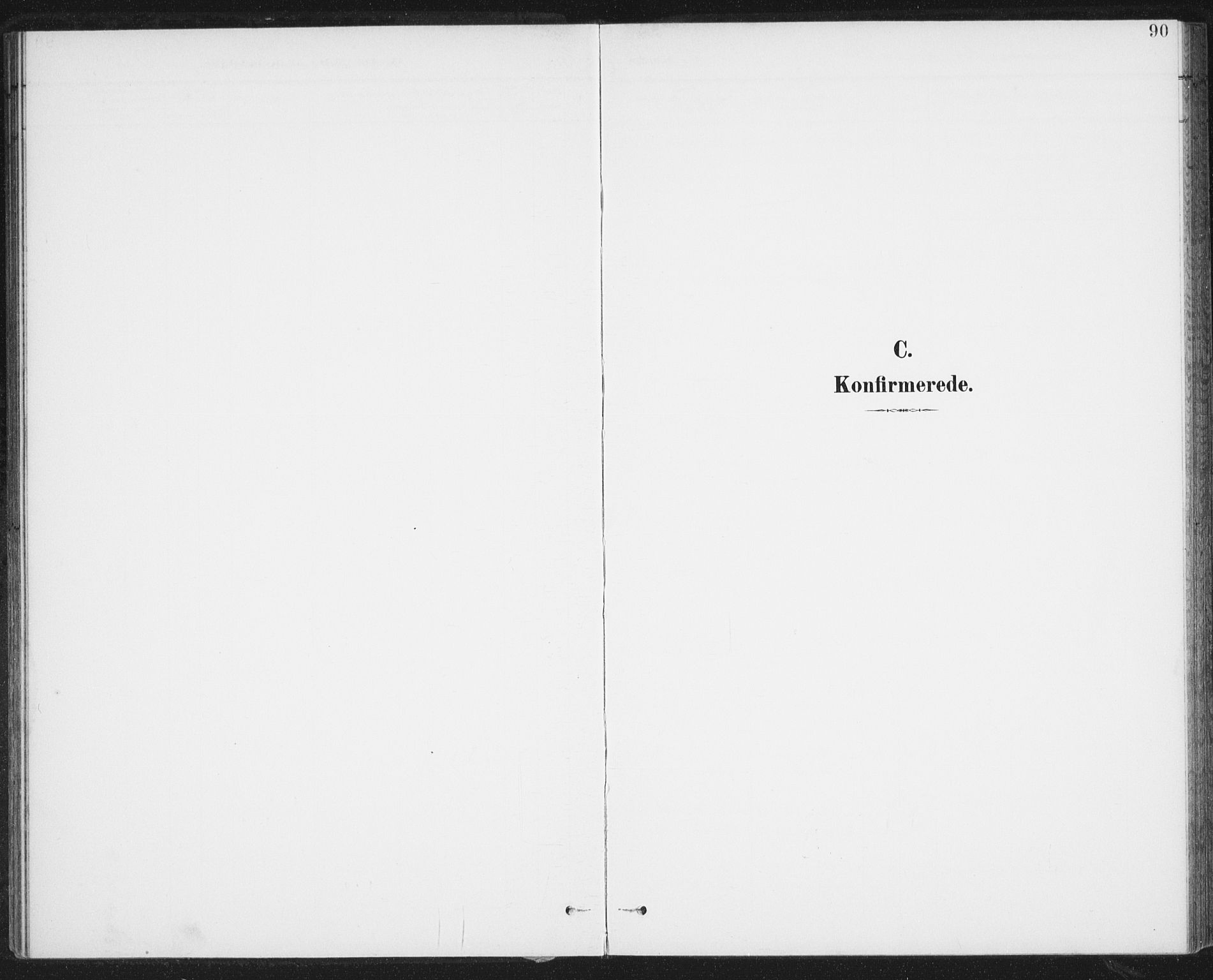 Ministerialprotokoller, klokkerbøker og fødselsregistre - Nordland, AV/SAT-A-1459/899/L1437: Parish register (official) no. 899A05, 1897-1908, p. 90