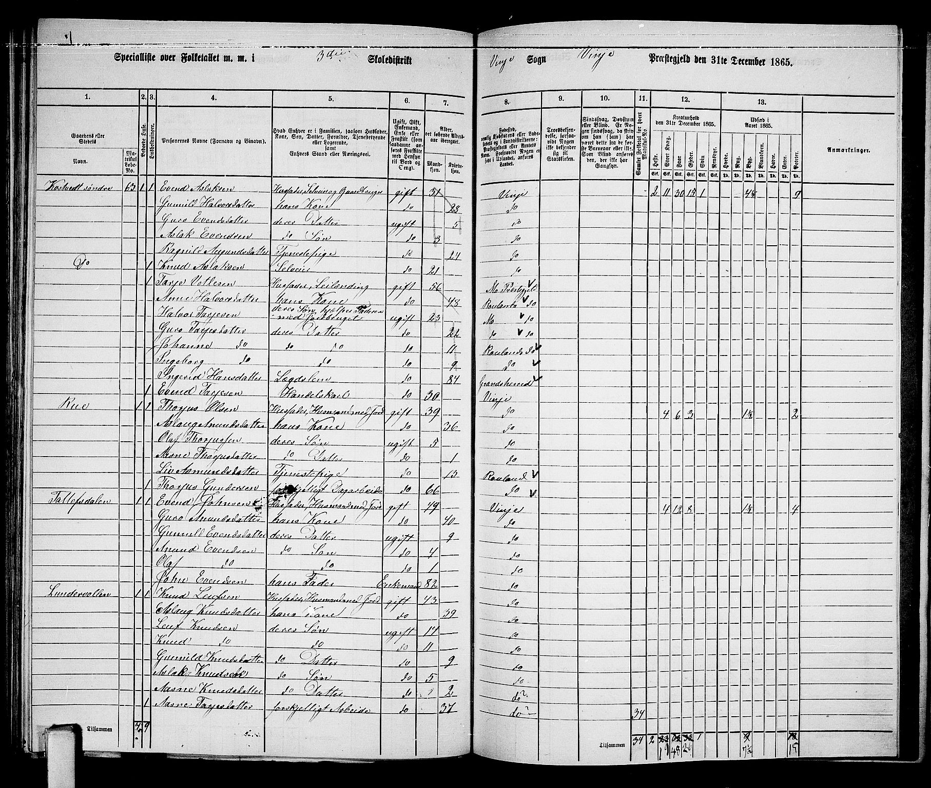 RA, 1865 census for Vinje, 1865, p. 34