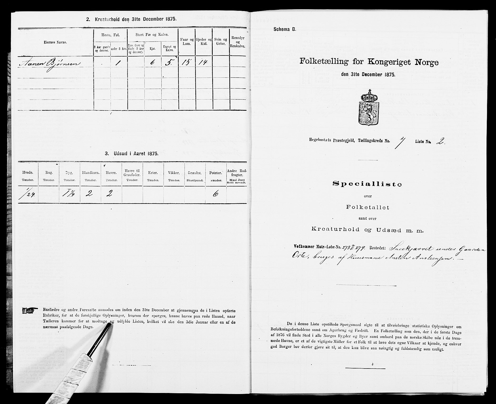 SAK, 1875 census for 1034P Hægebostad, 1875, p. 720