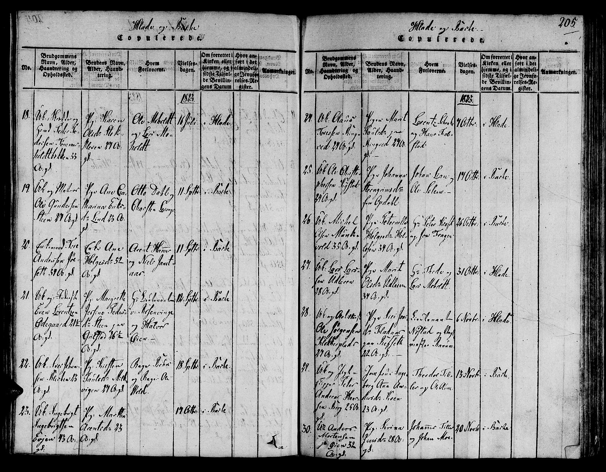 Ministerialprotokoller, klokkerbøker og fødselsregistre - Sør-Trøndelag, AV/SAT-A-1456/606/L0283: Parish register (official) no. 606A03 /1, 1818-1823, p. 205