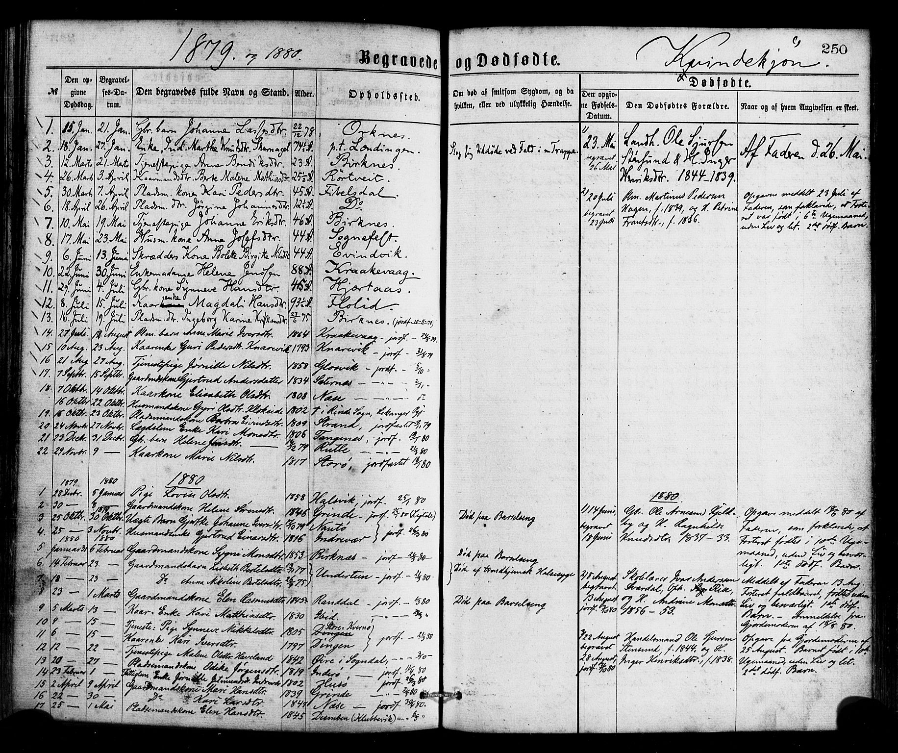 Gulen sokneprestembete, AV/SAB-A-80201/H/Haa/Haaa/L0023: Parish register (official) no. A 23, 1870-1880, p. 250